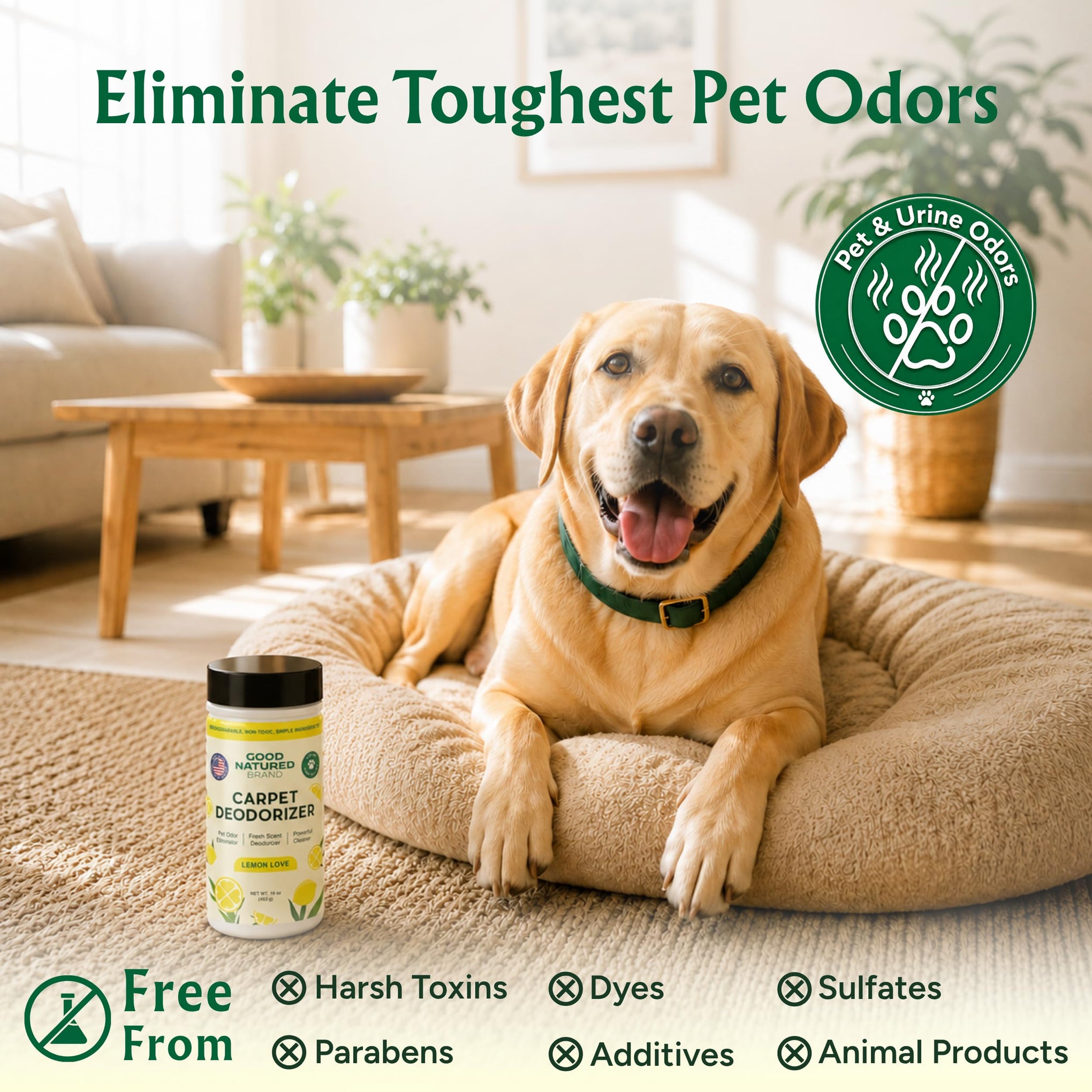 Carpet Freshener & Deodorizer Powder (16 Ounce)