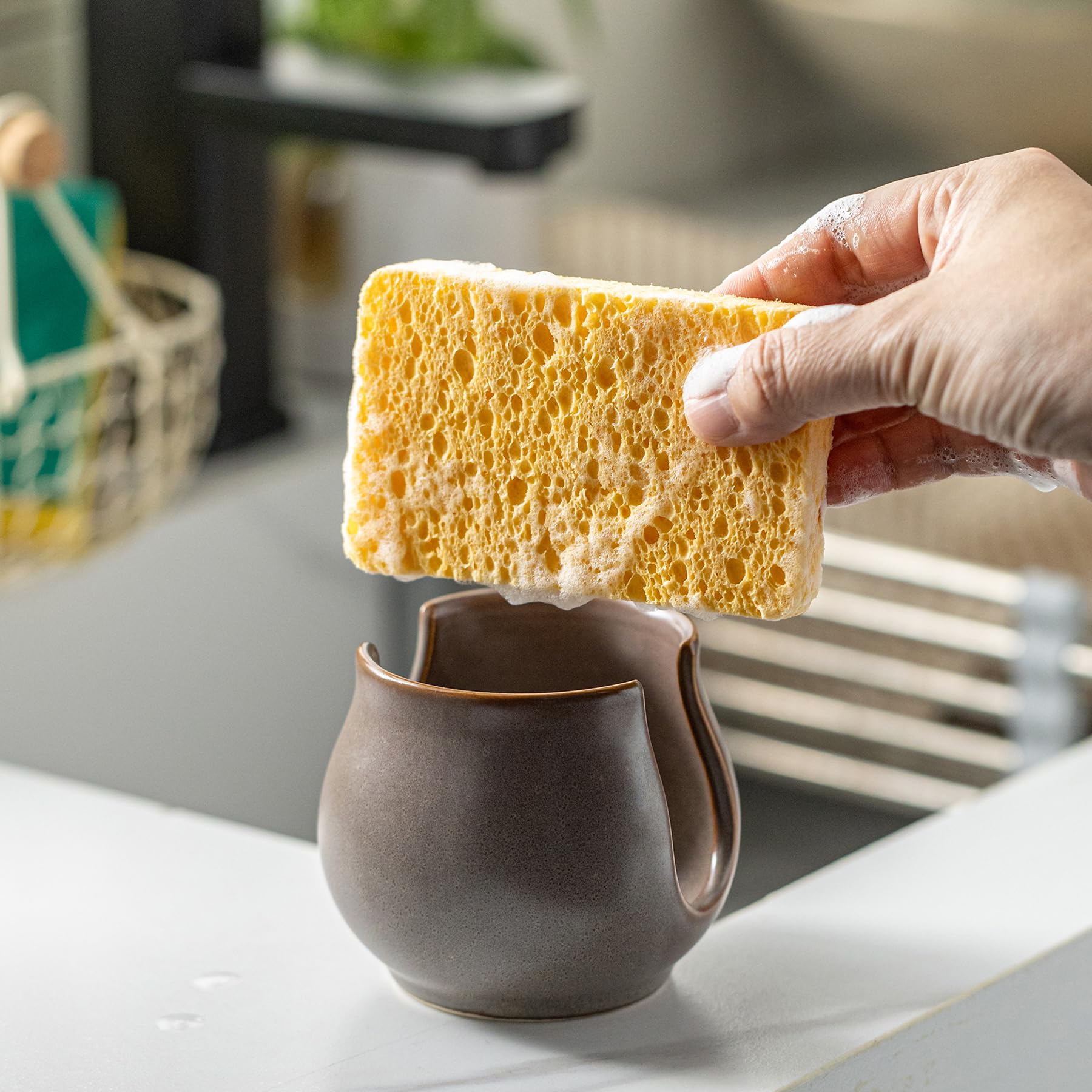 Sponge Holder for Kitchen Sink
