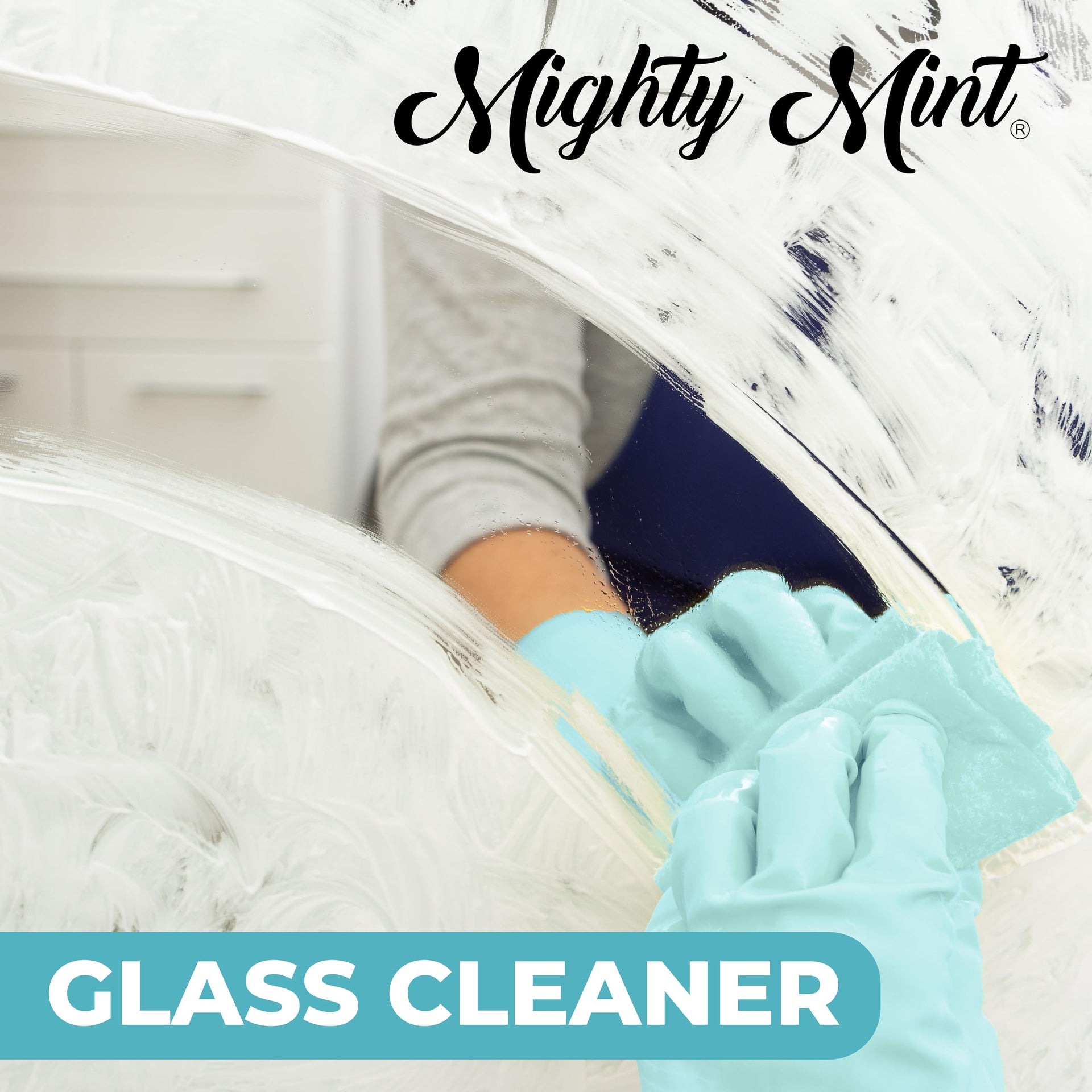 Glass Cleaner (16 Fl Oz)