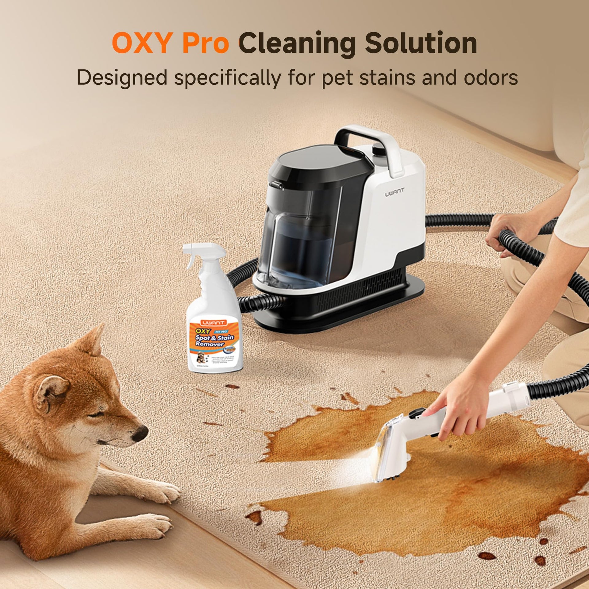 18Kpa Carpet Cleaner Machine with Pet Pro Cleaner&Tools Set of 1
