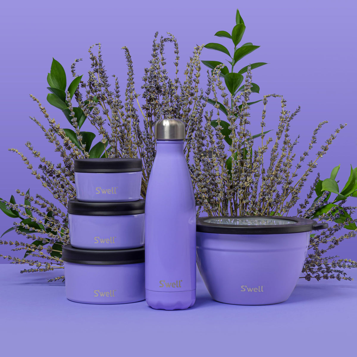Stainless Steel Water Bottle