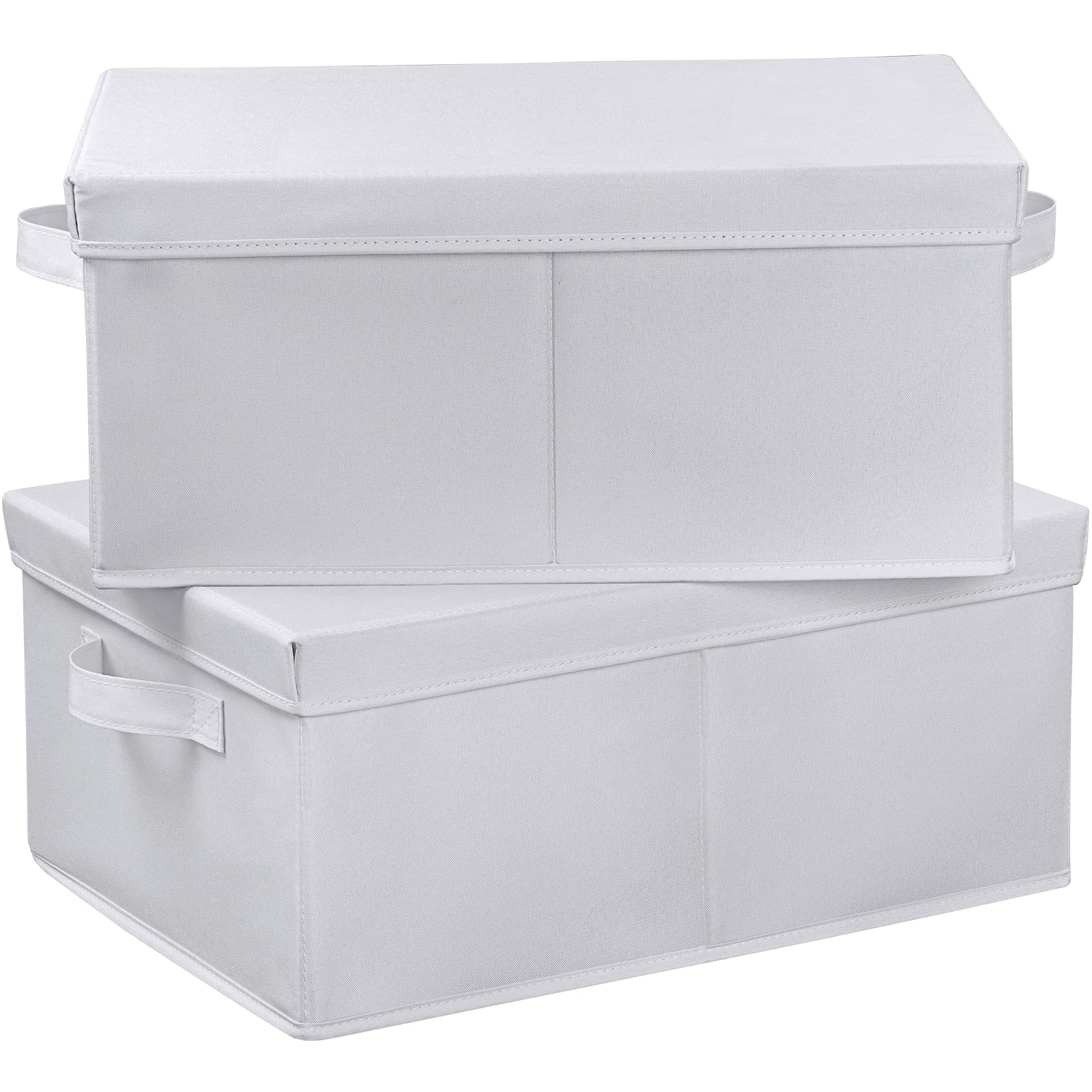 Storage Bins with Lids for Organizing (2 Count)