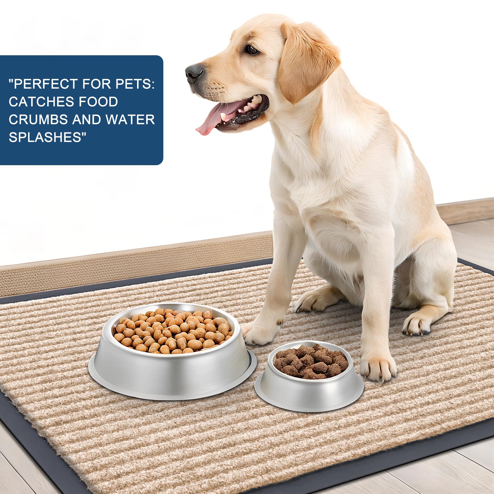 Front Door Mat 71x23