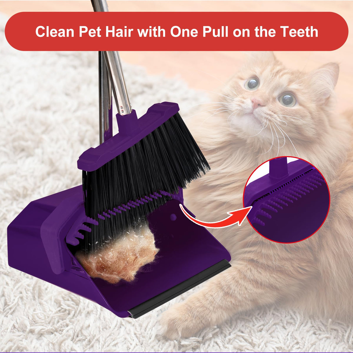 Broom and Dustpan Set for Home