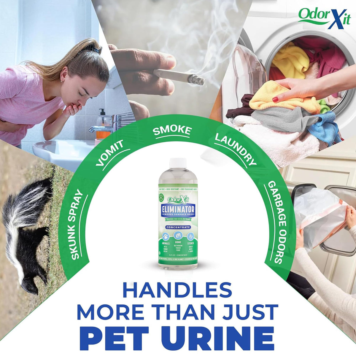 Concentrated Pet Urine Odor Eliminator (16 Fl Oz)