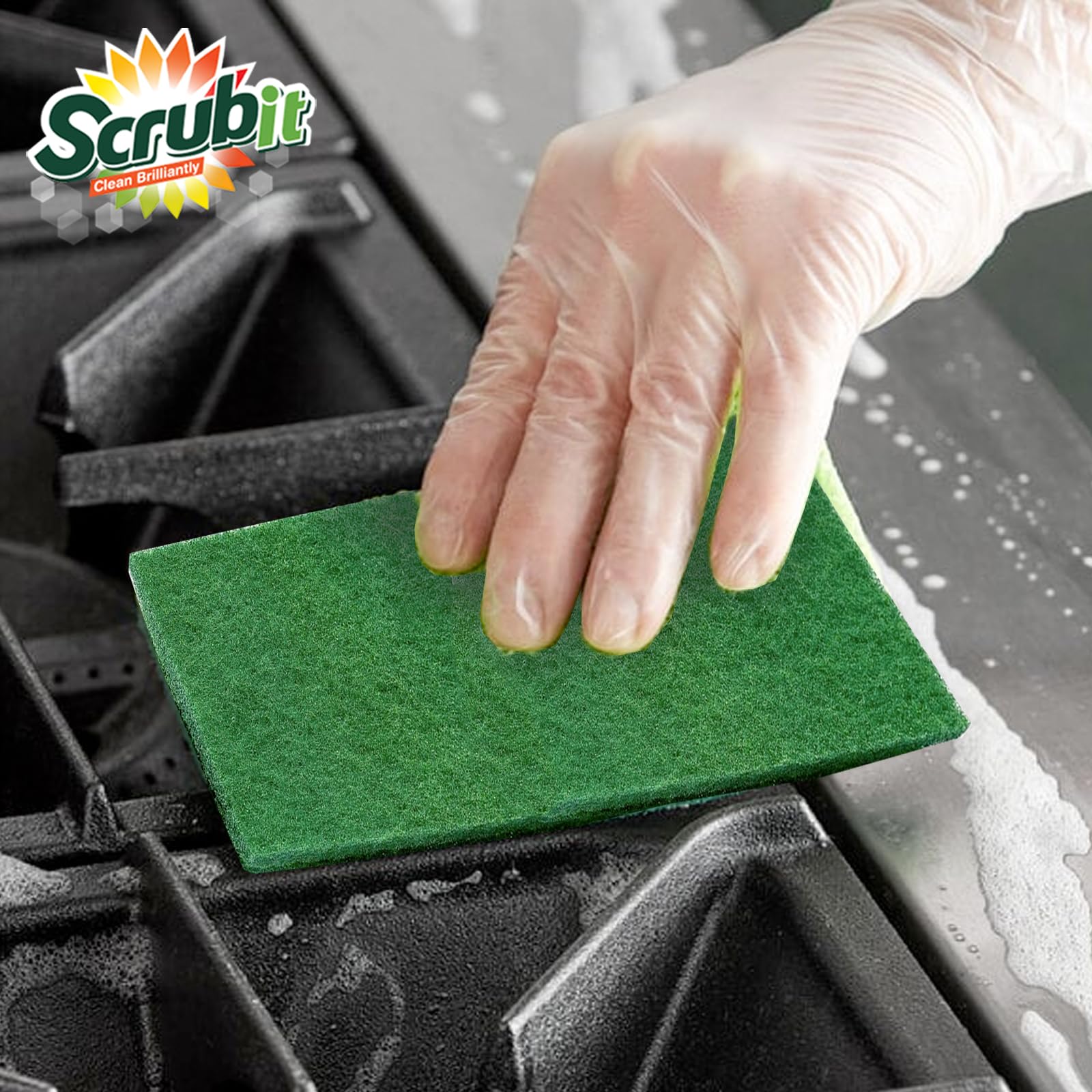 Scouring Pads (4 Count)