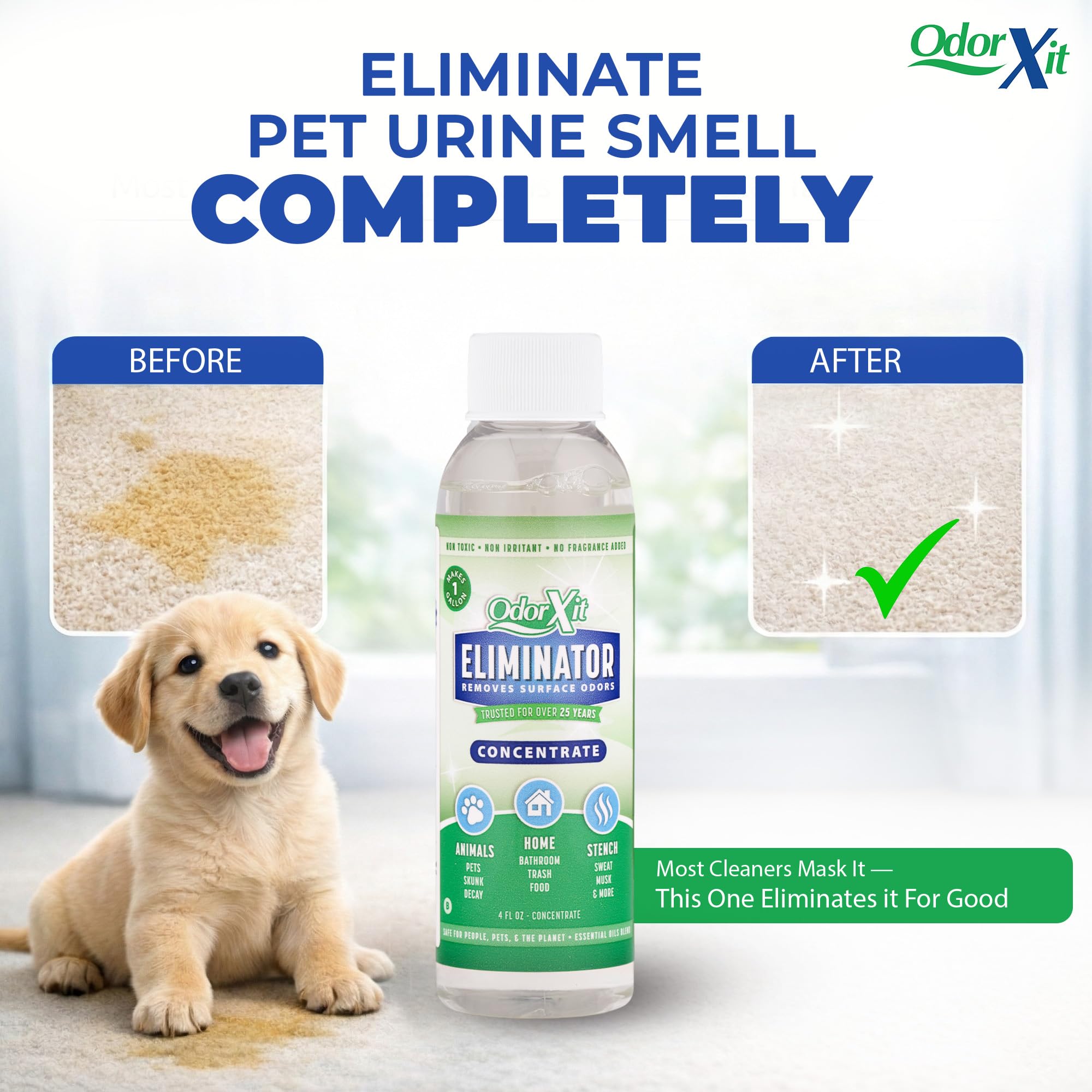 Concentrated Pet Urine Odor Eliminator (4 Fl Oz)