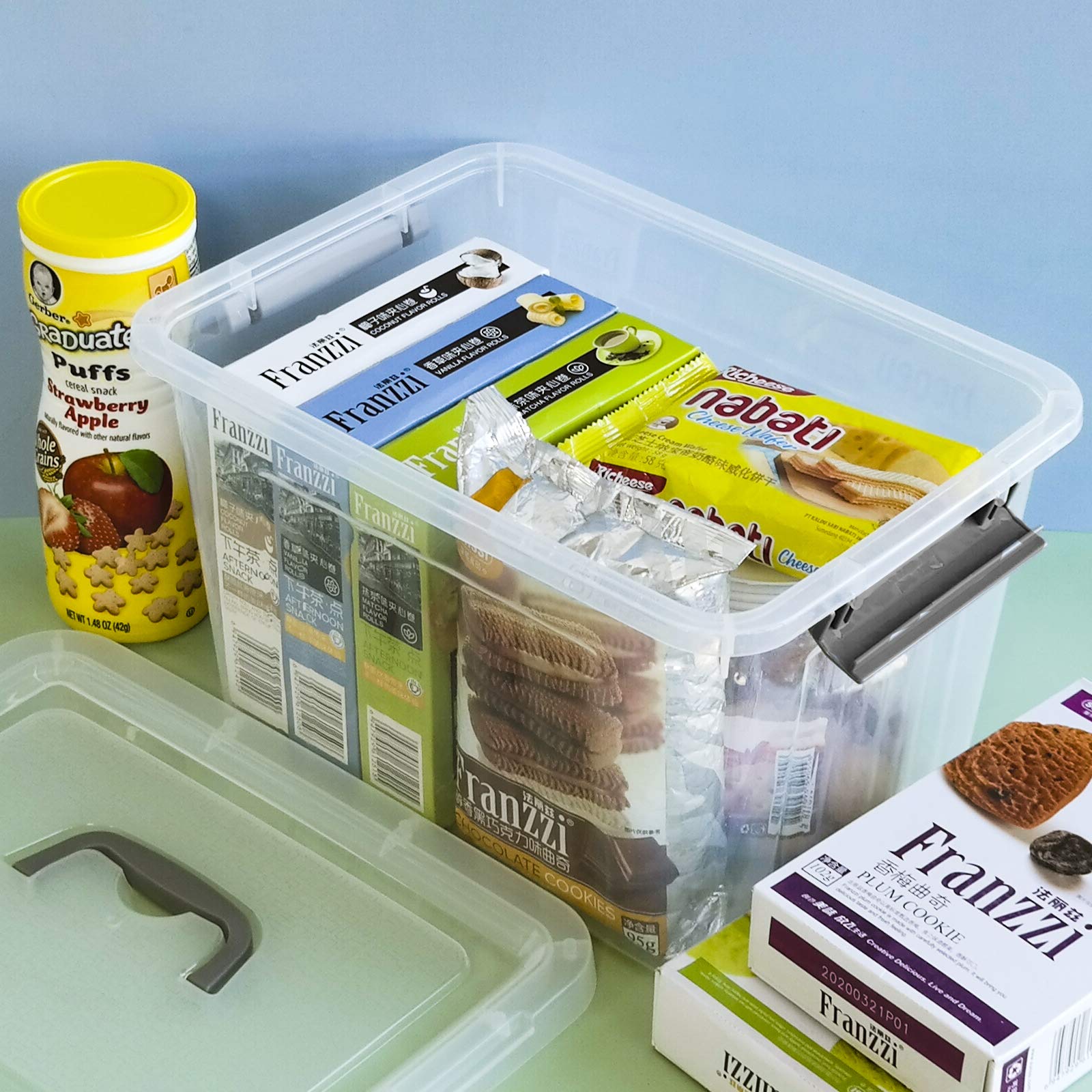 6 Pack Clear Plastic Latching Storage Box (6 Count)