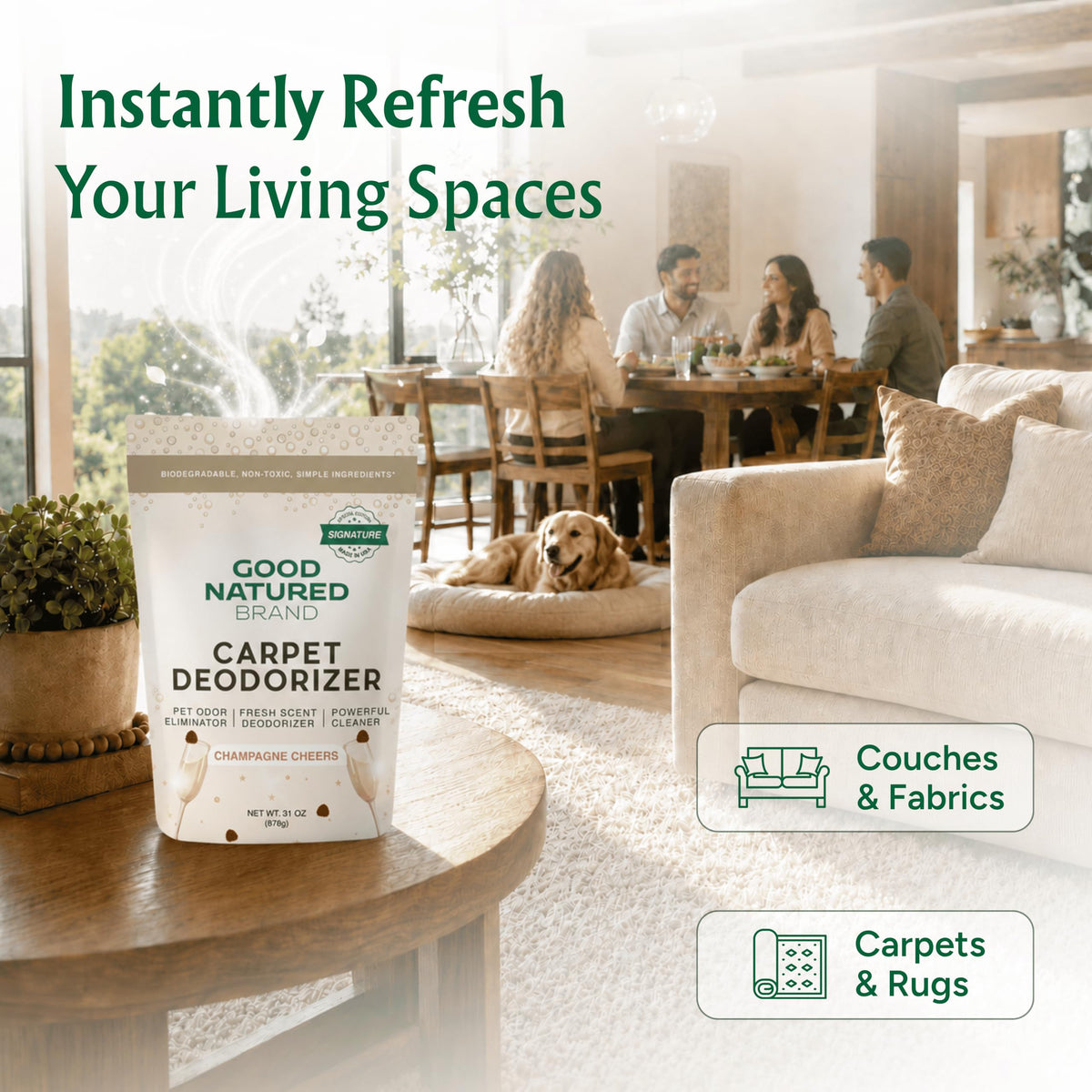 Carpet Deodorizer & Freshener Powder (31 Ounce)