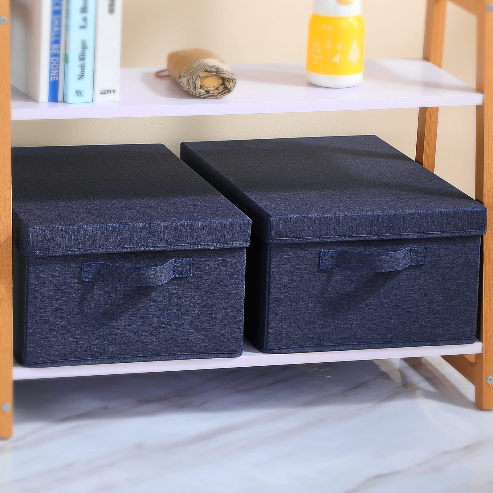 Foldable Storage Bins with Lids (2 Count)
