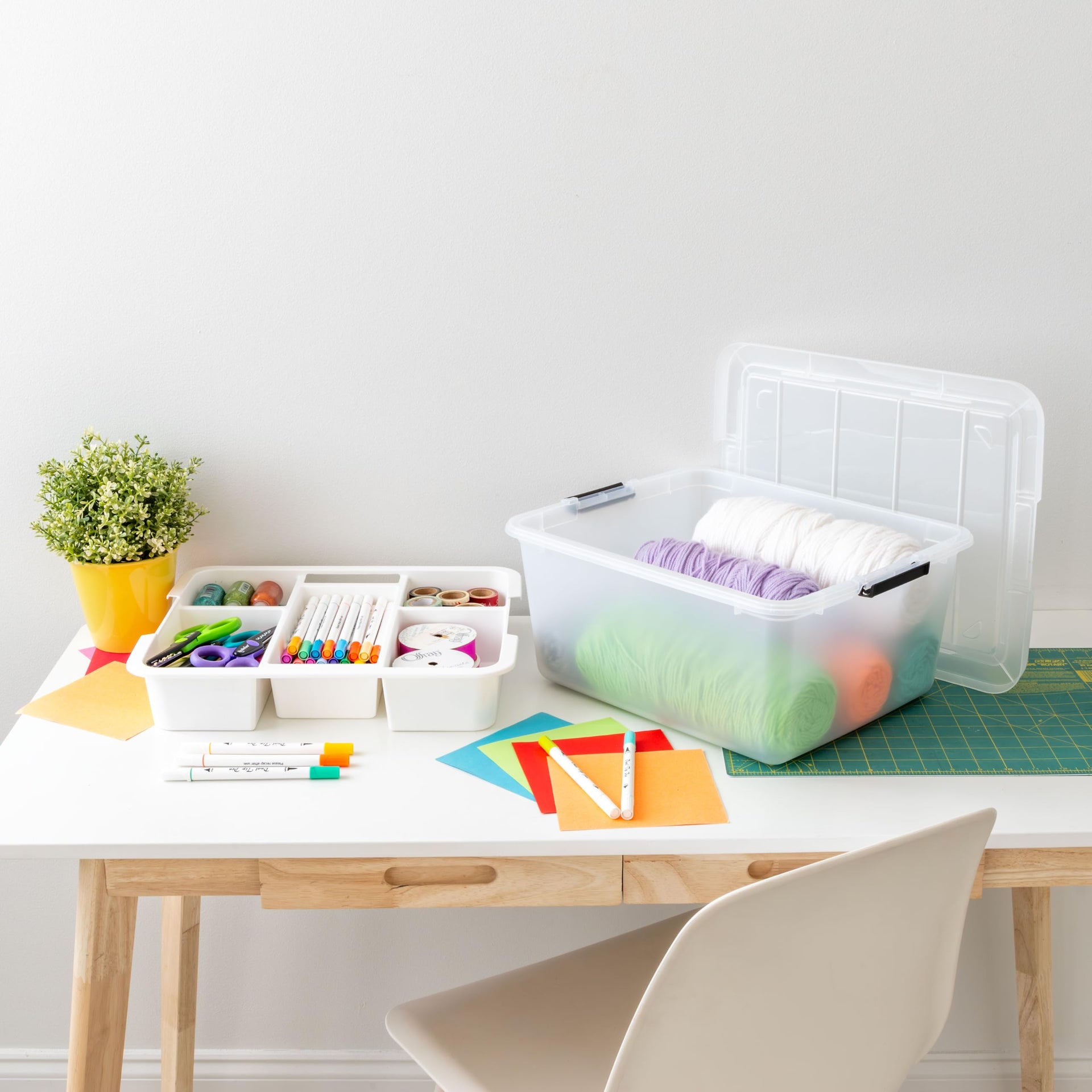 18 Quart Clear Storage Organizer with Removable Dividers