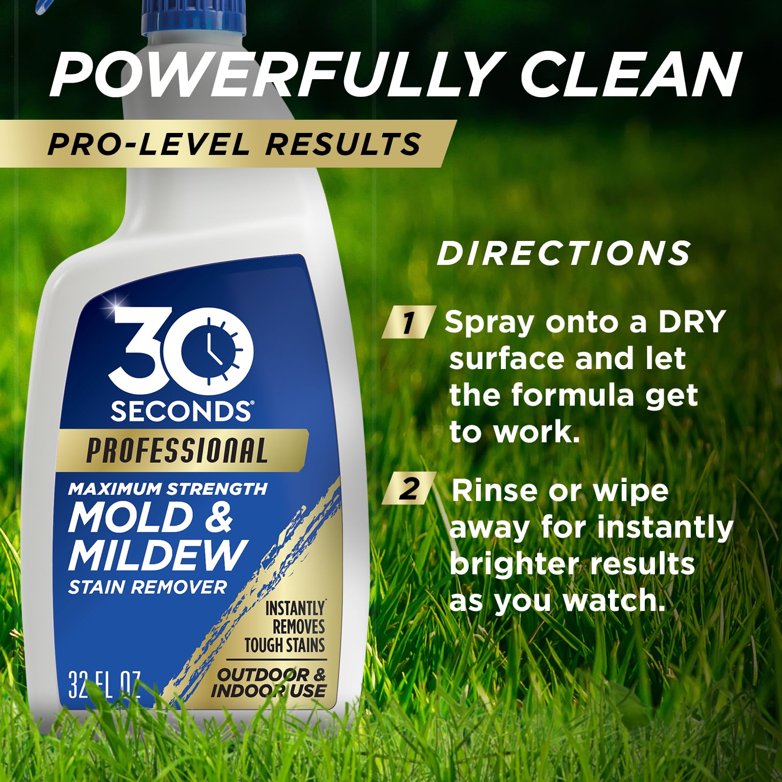Pro Mold and Mildew Stain Remover (160 Fl Oz)