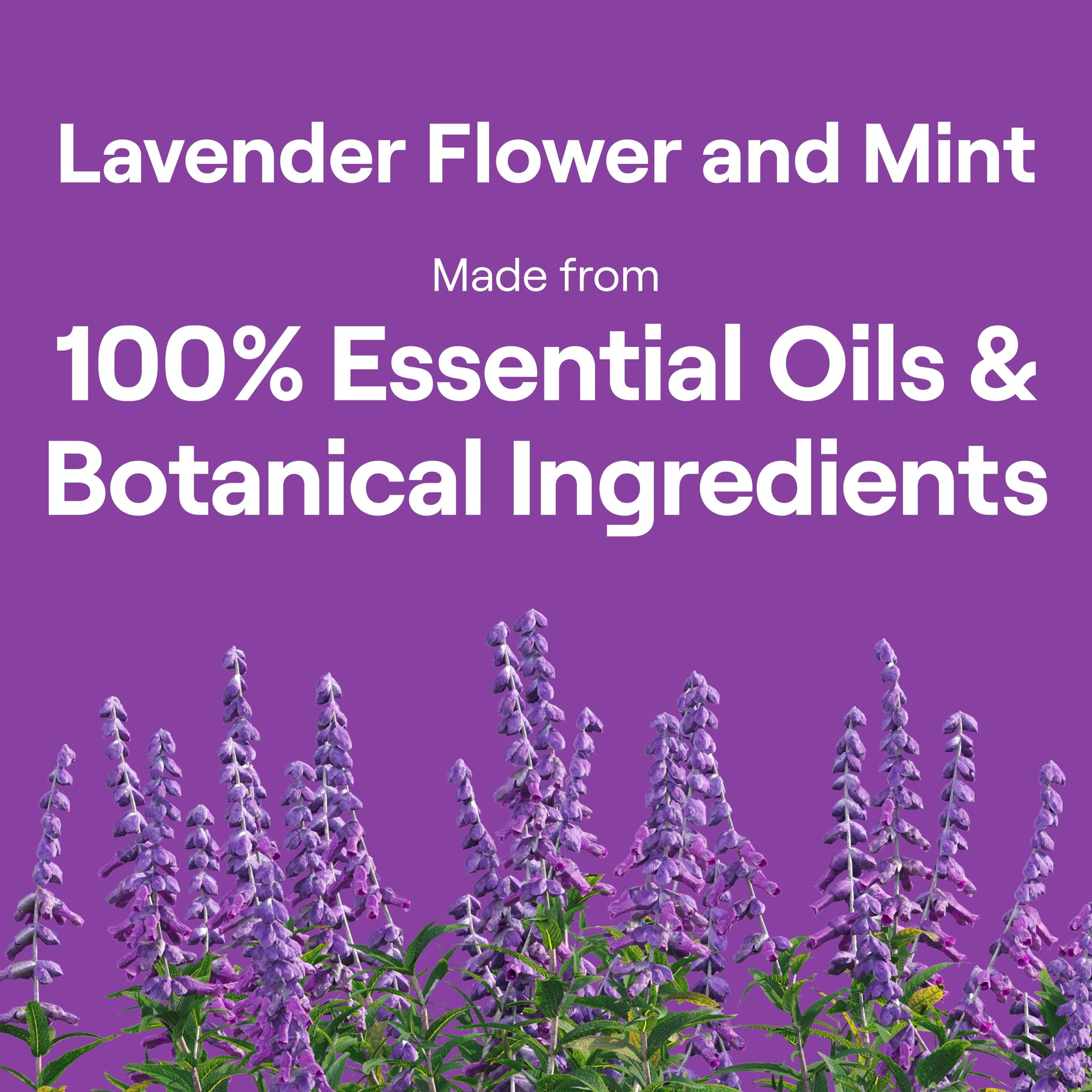 Dish Soap Liquid Lavender Flower & Mint Scent Pack of 6 Dishwashing Soap Dish Detergent Liquid Soap 19 oz (114 Fl Oz)
