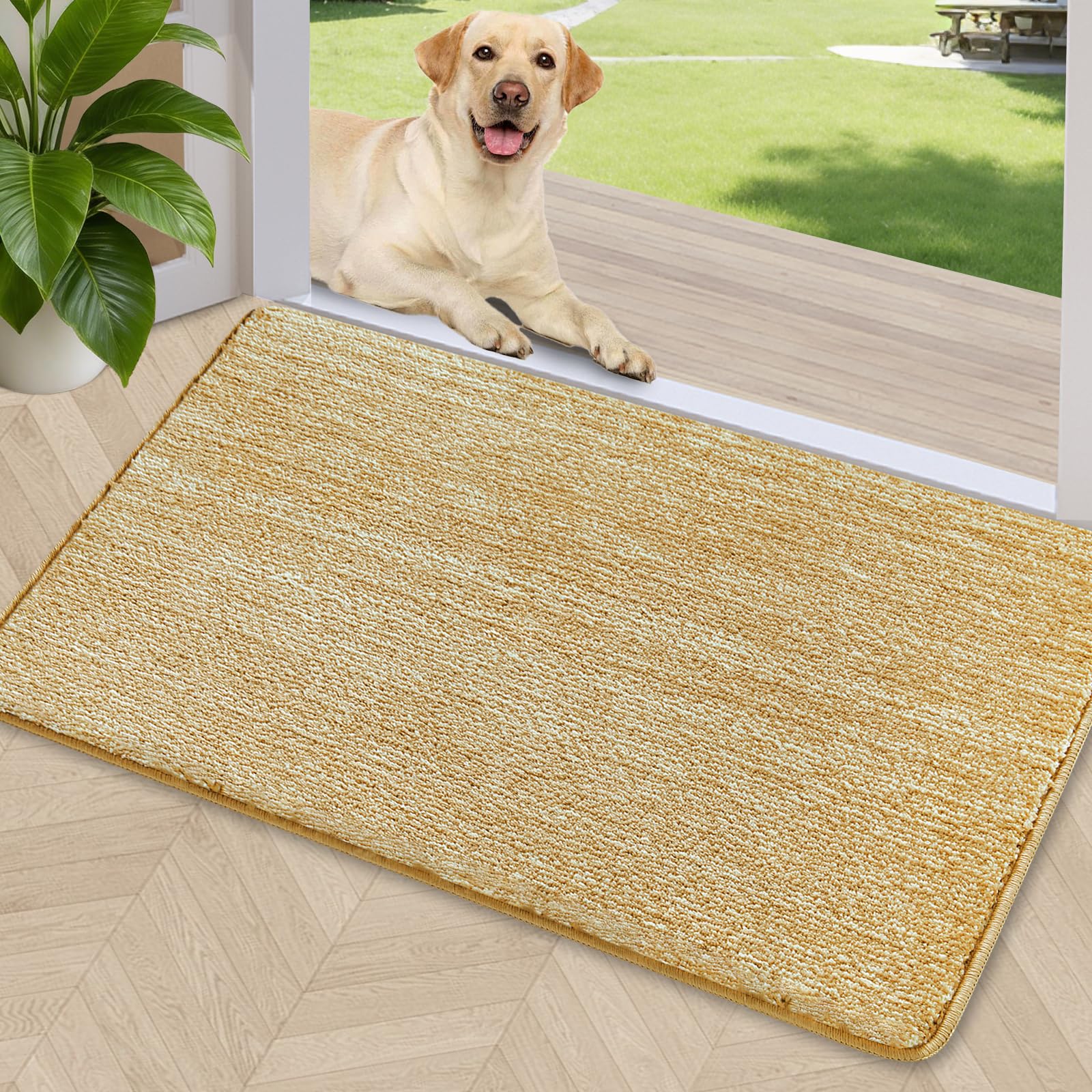 Dirt Trapper Door Mat 24" x 36"