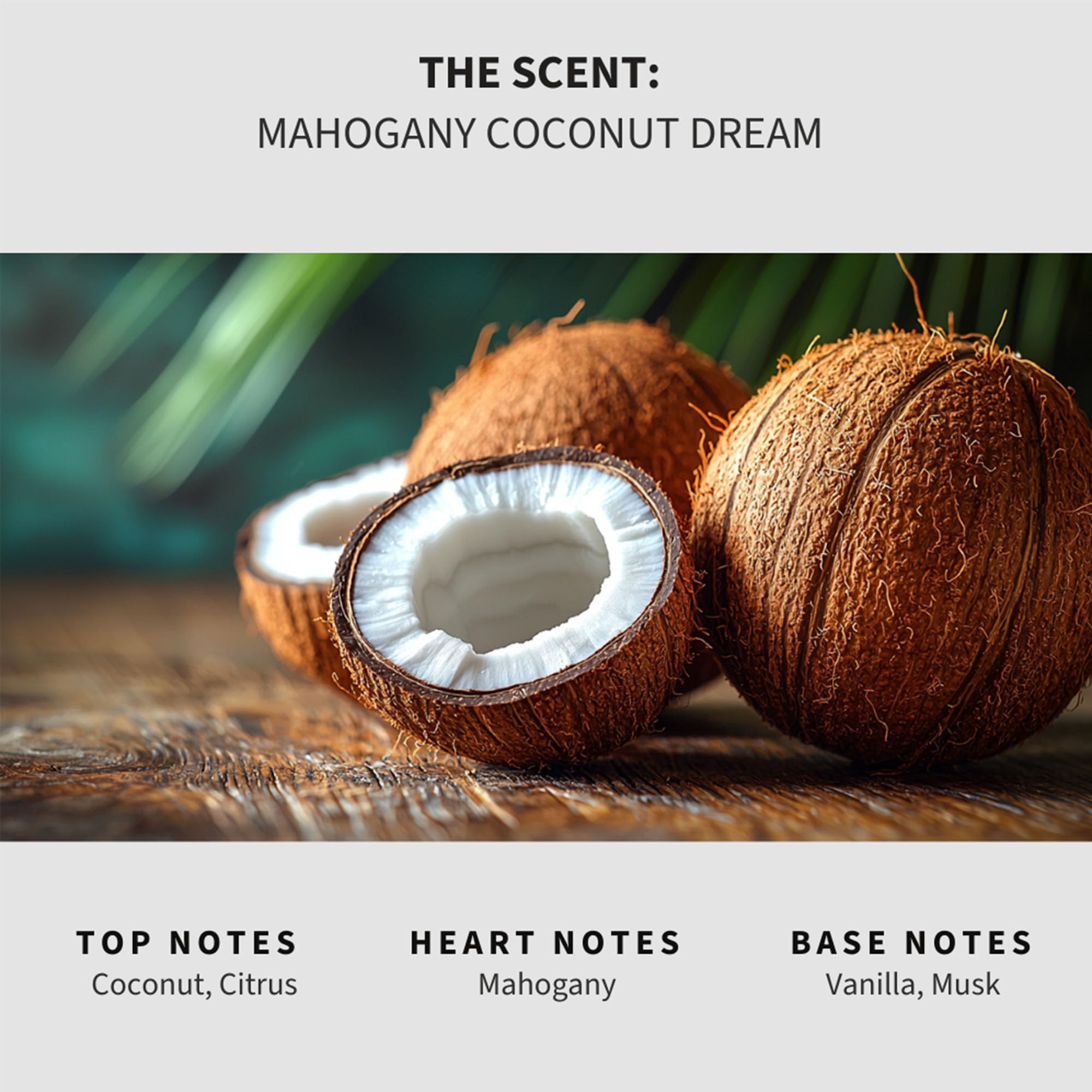 Mahogany Coconut Dream Carpet Deodorizer Powder (36 Ounce)