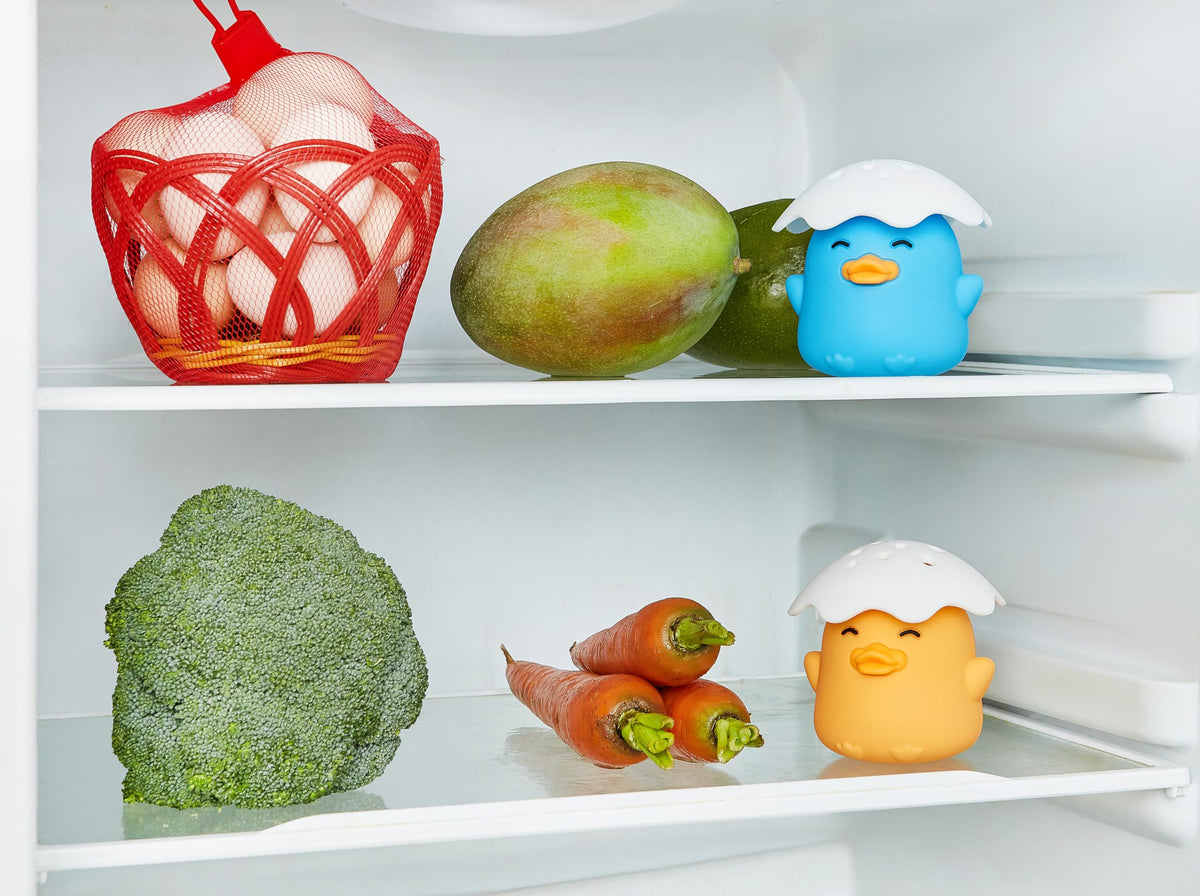 Duck Refrigerator Baking Soda Deodorizer Holder