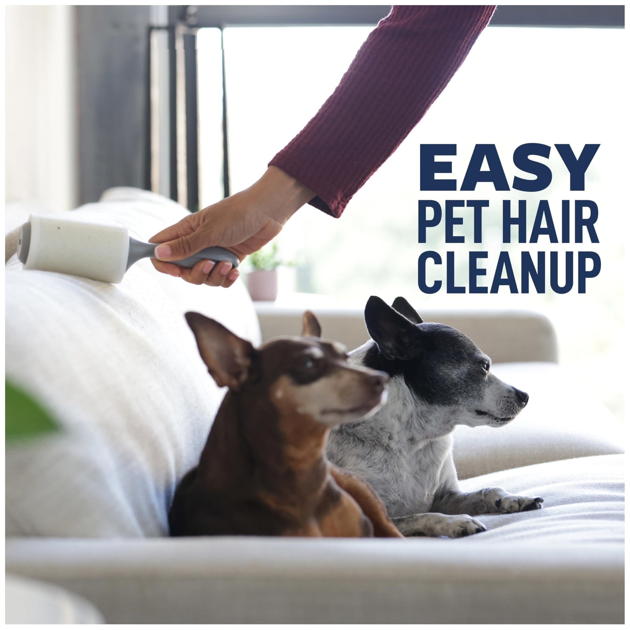 Everyday Clean Lint Roller (475 Count)