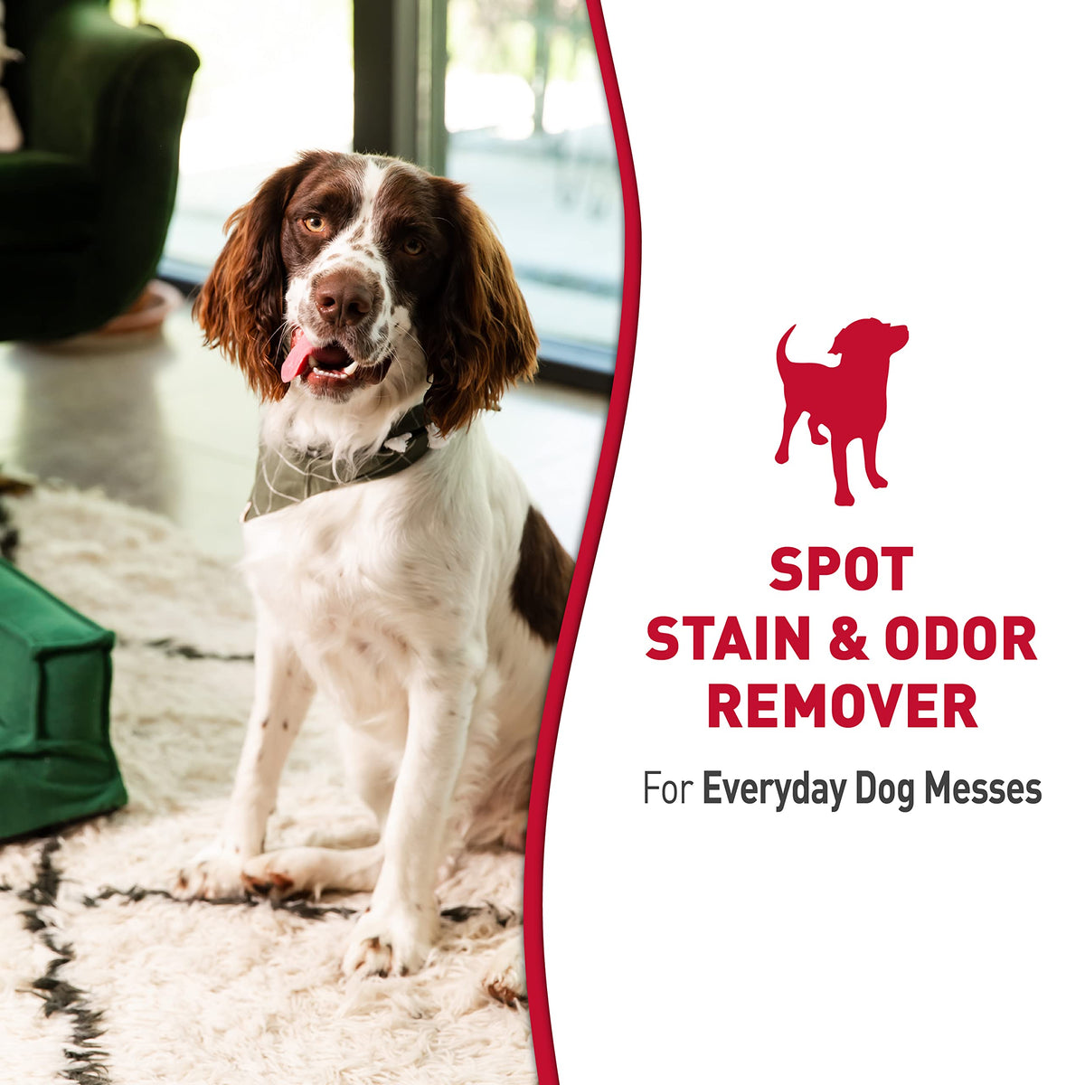 Nature’s Miracle Dog Stain & Odor Remover (170 Fl Oz)