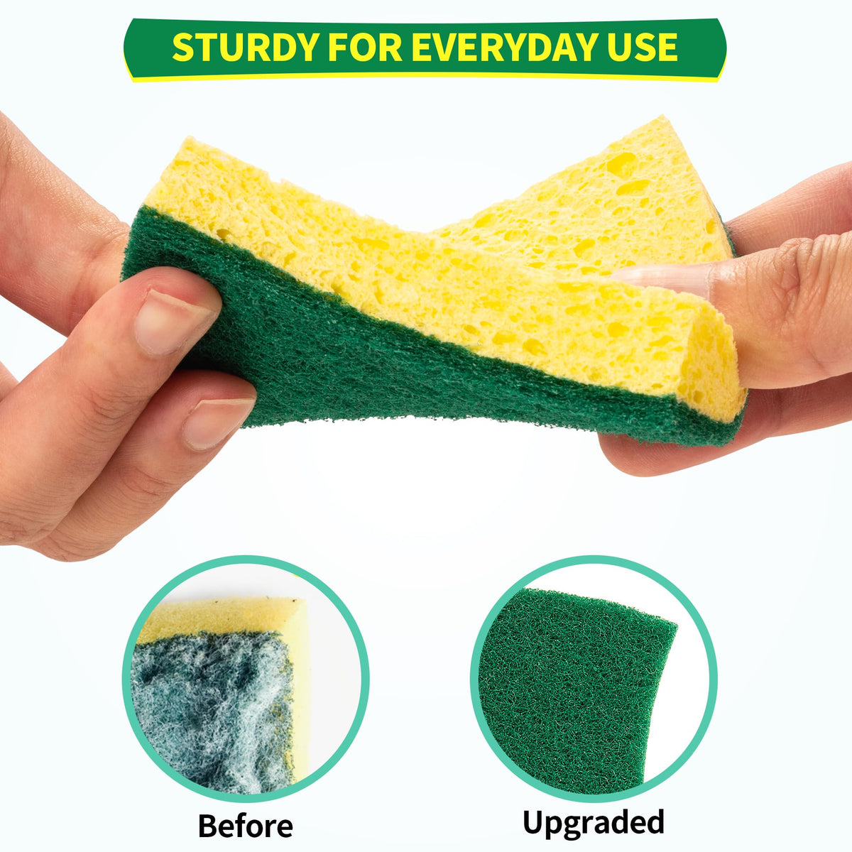 Heavy Duty Sponges (12 Count)