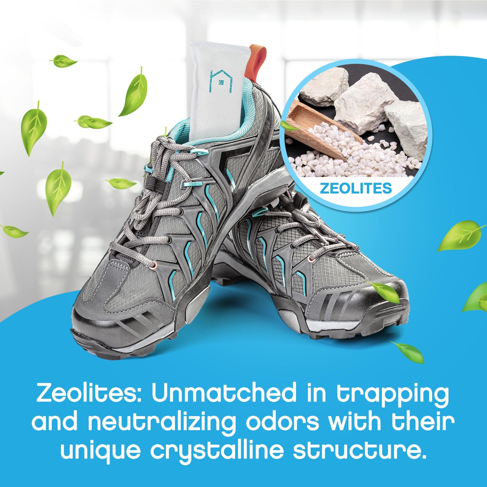 Shoe Deodorizer (4 Count)