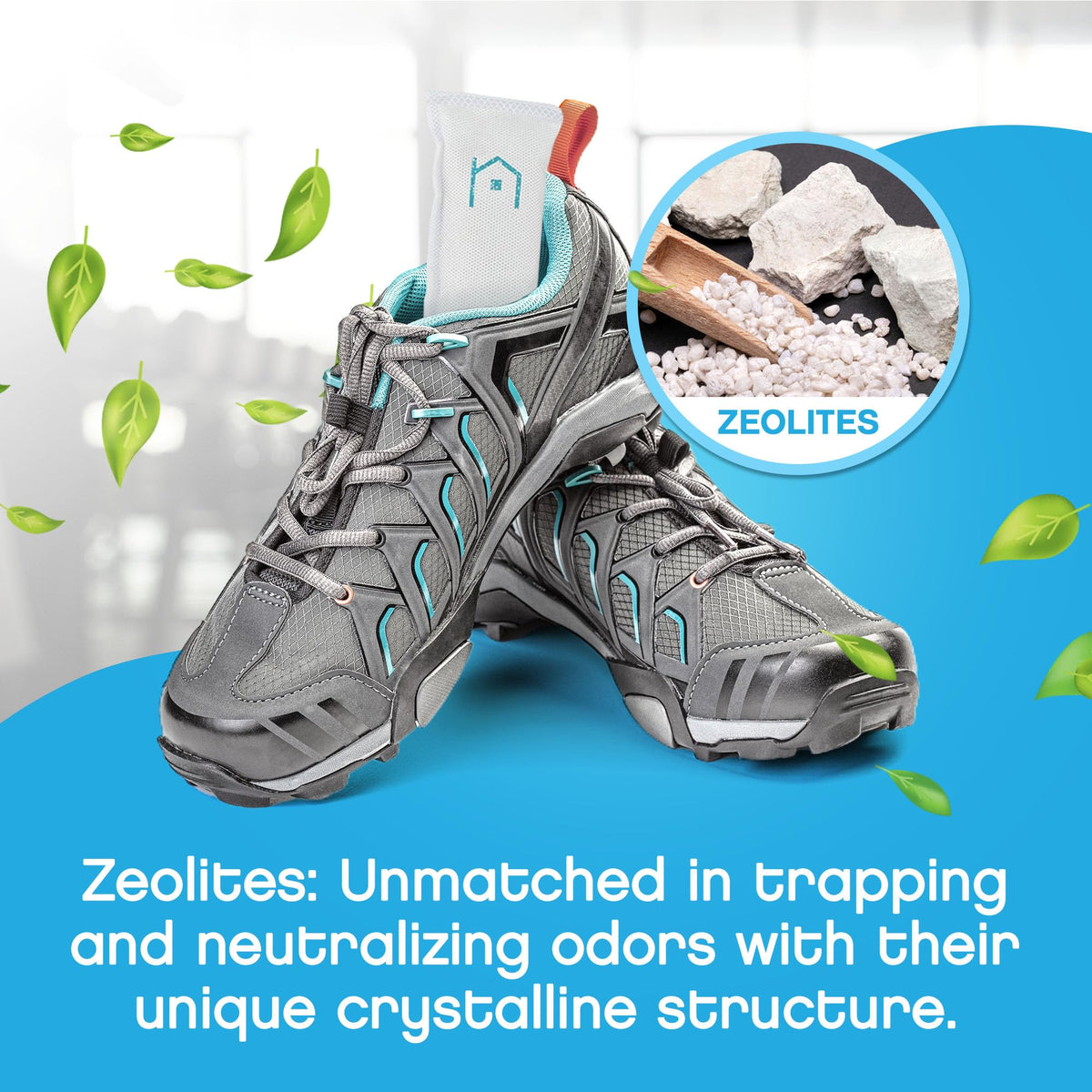 Shoe Deodorizer (2 Count)