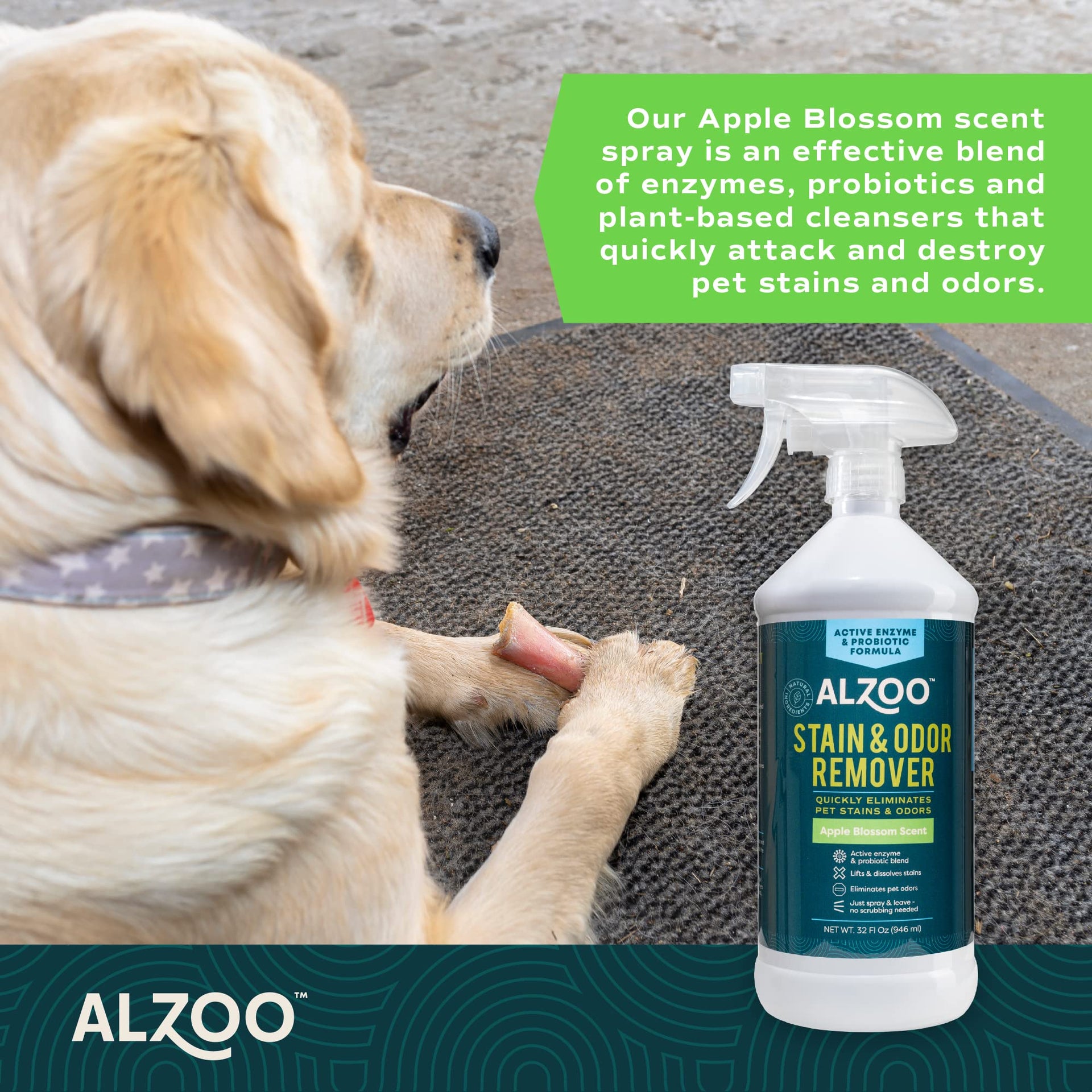 Pet Stain & Odor Remover Spray for Dog & Cat Urine (32 Fl Oz)