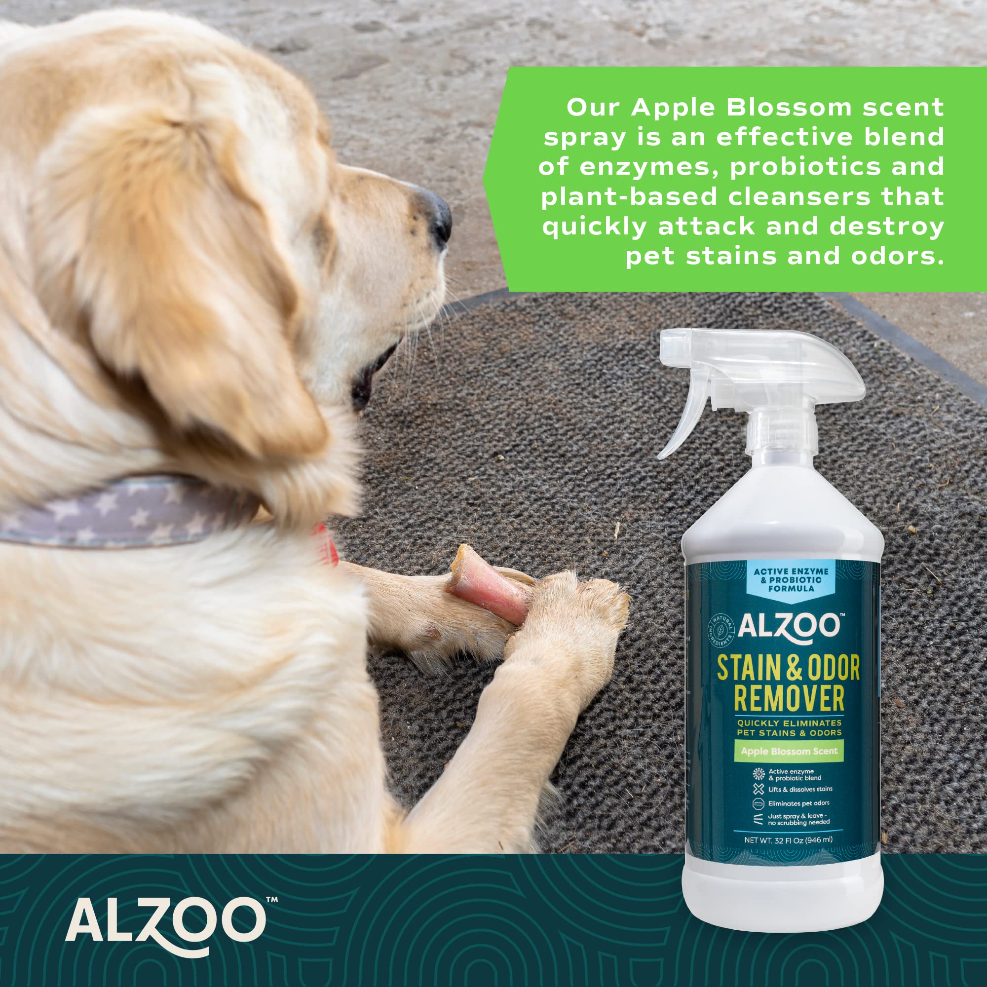 Pet Stain & Odor Remover Spray for Dog & Cat Urine (32 Fl Oz)