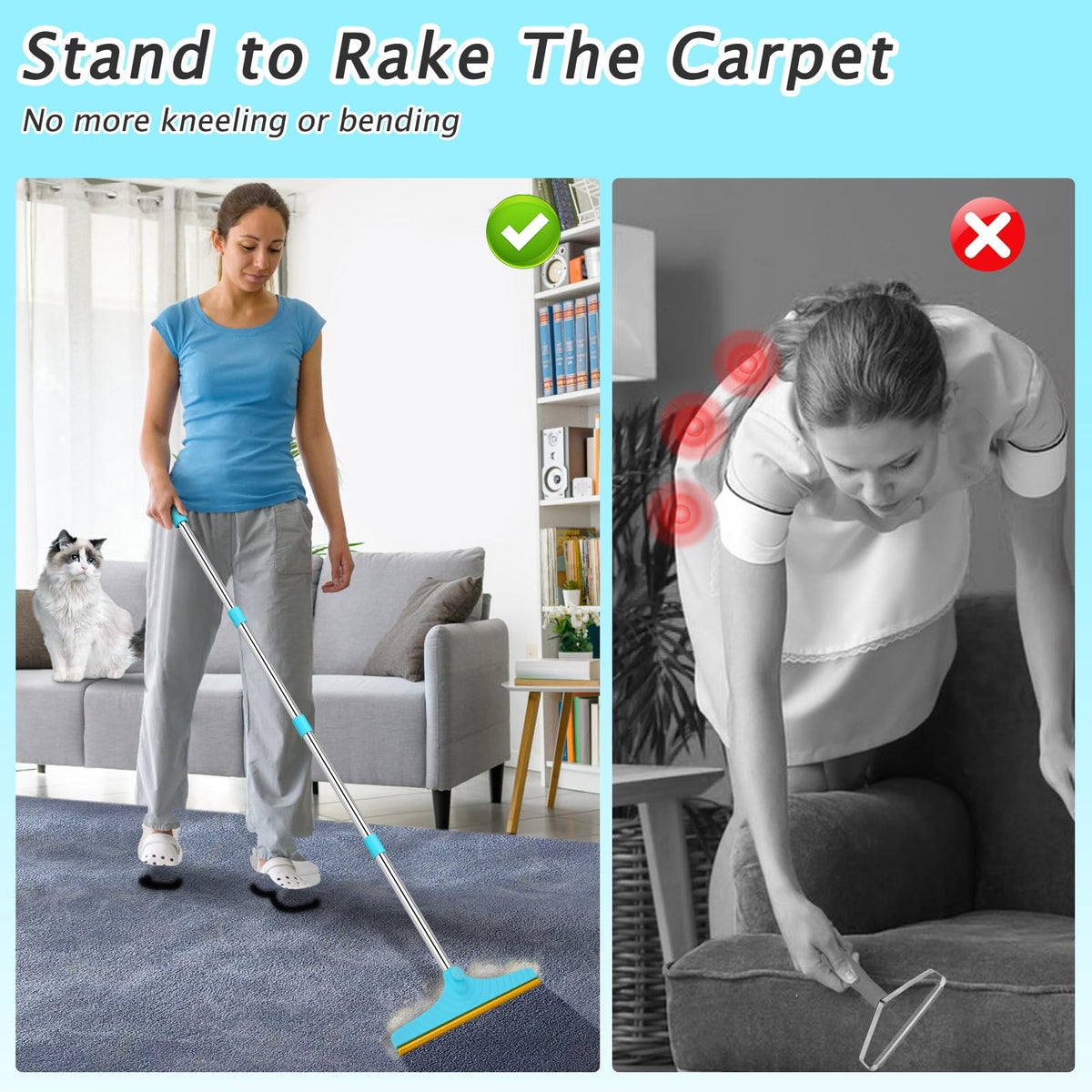 Carpet Rake for Pet Hair Removal Tool - ModHome Supplies