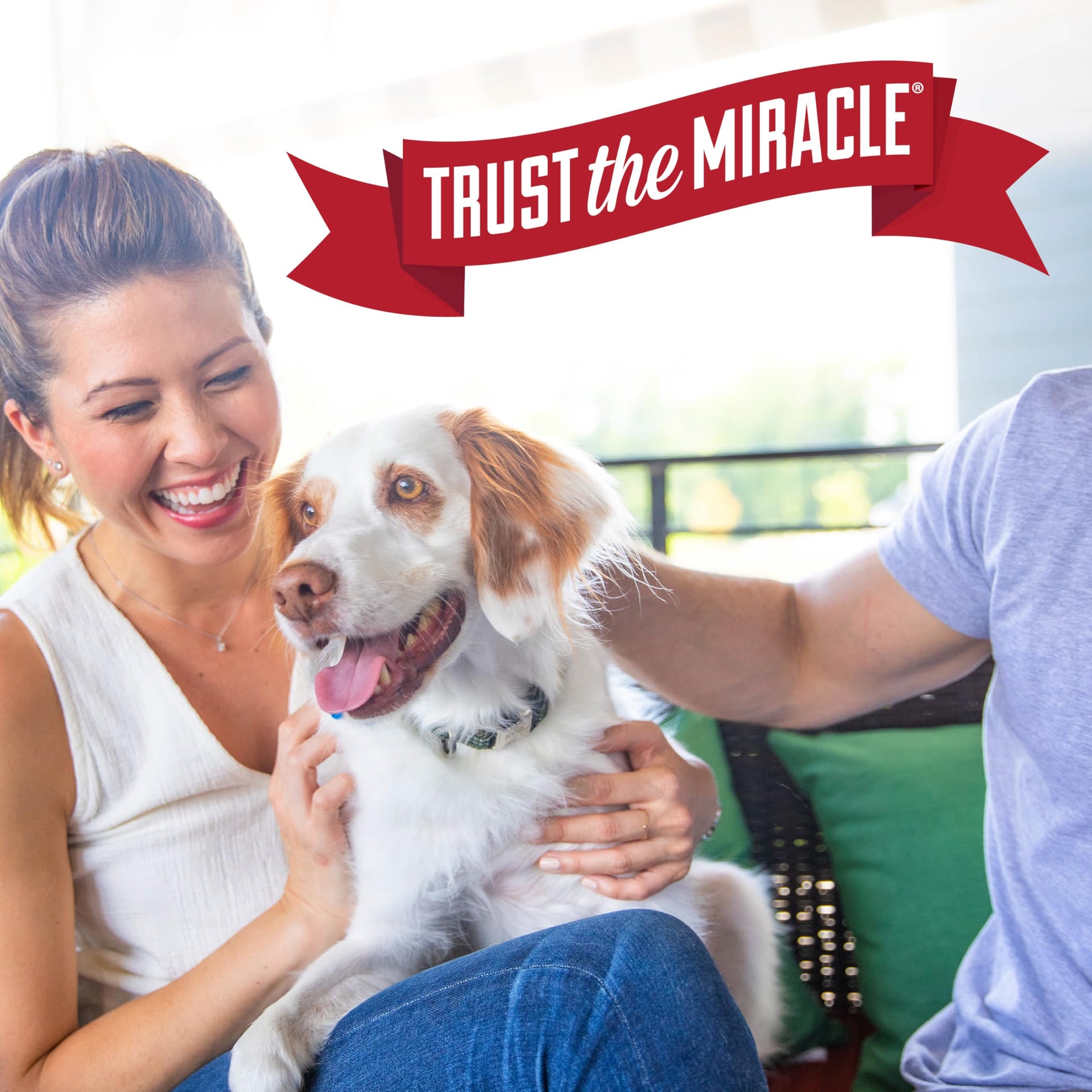 Nature’s Miracle Dog Stain & Odor Remover (32 Fl Oz)