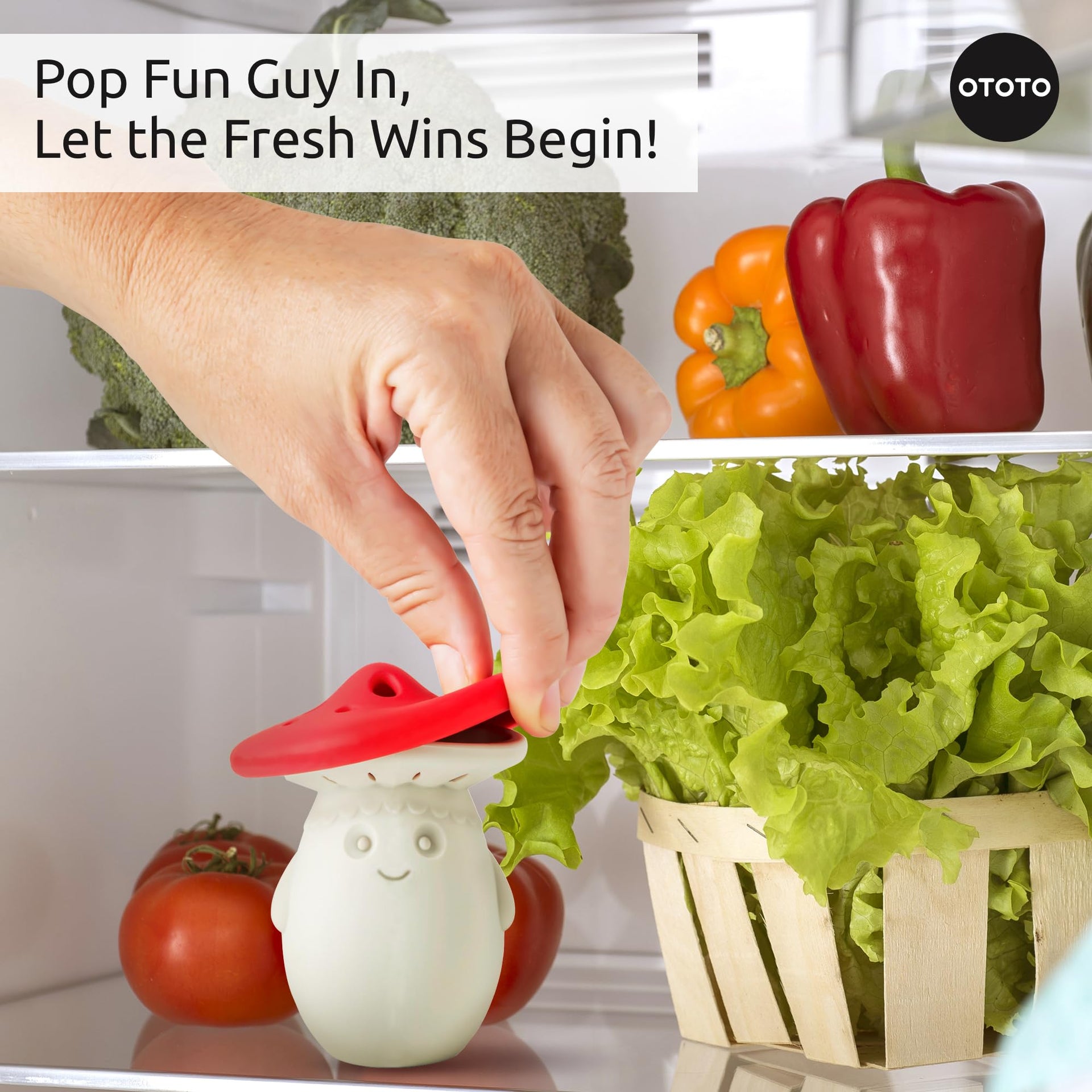 Fridge Deodorizer by OTOTO