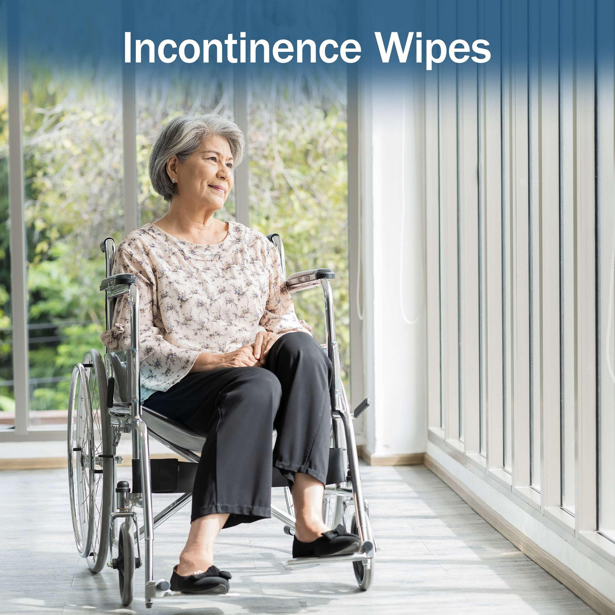 Dry Wipes for Adults (800 Count) - ModHome Supplies