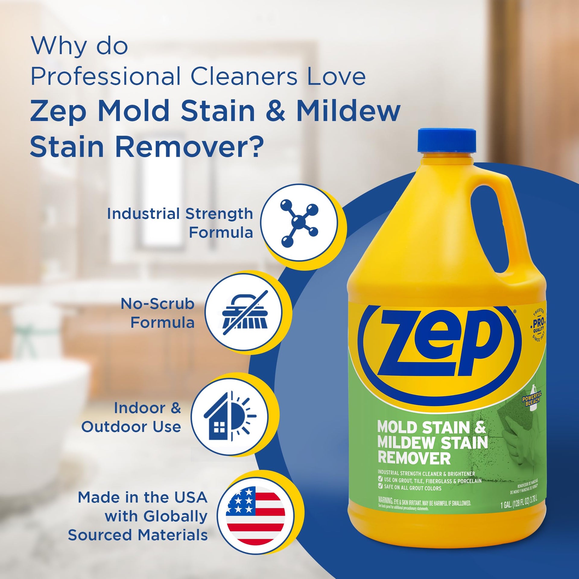 Mold Stain and Mildew Stain Remover (256 Fl Oz)