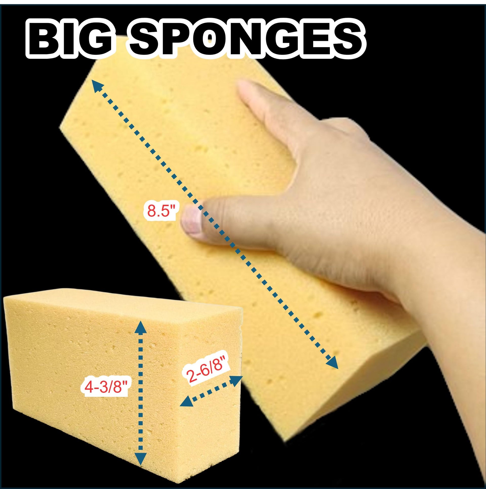 Car Wash Sponges (6 Count)