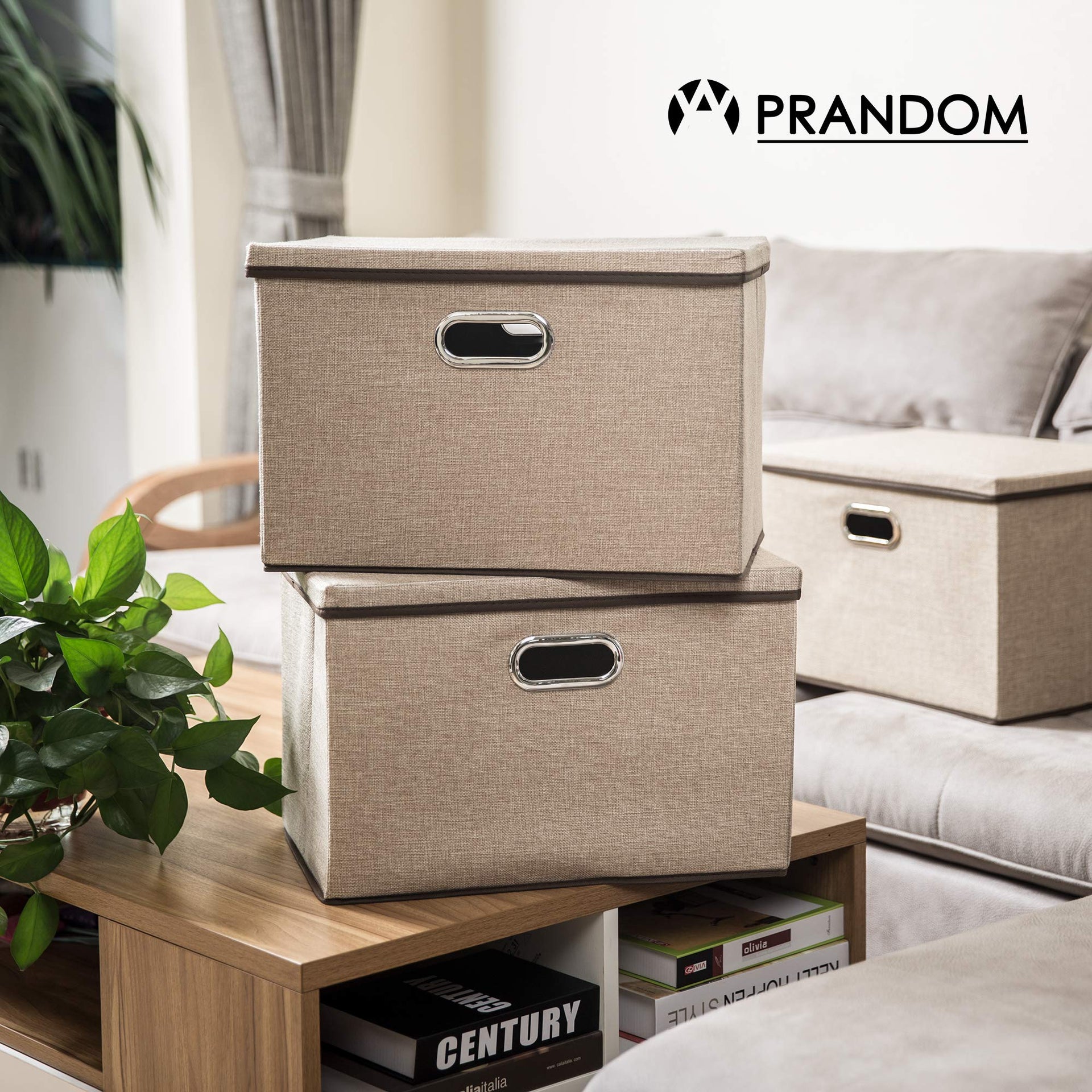 Large Collapsible Storage Bins with Lids [3 (3 Count)