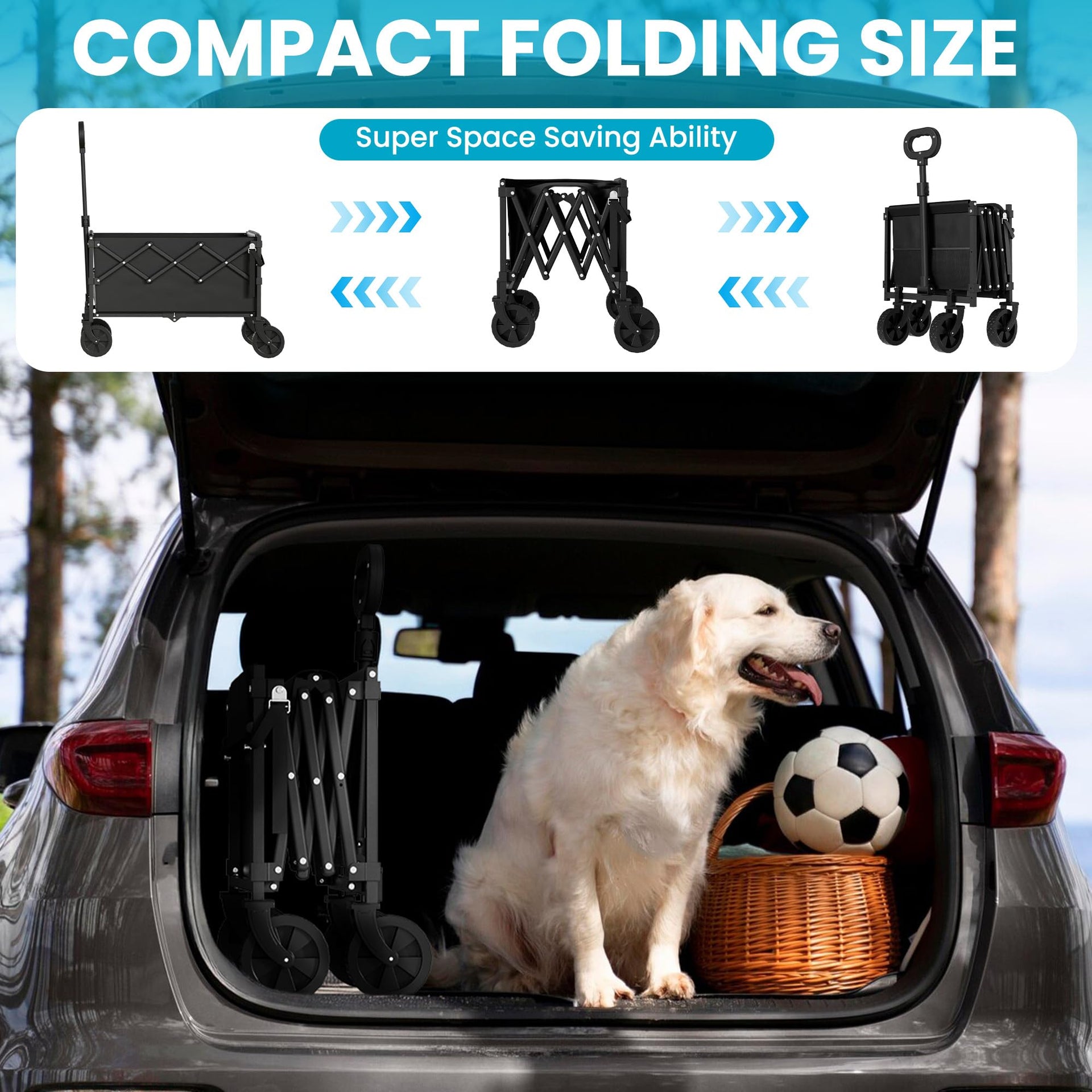 Small Collapsible Wagon with Tailgate