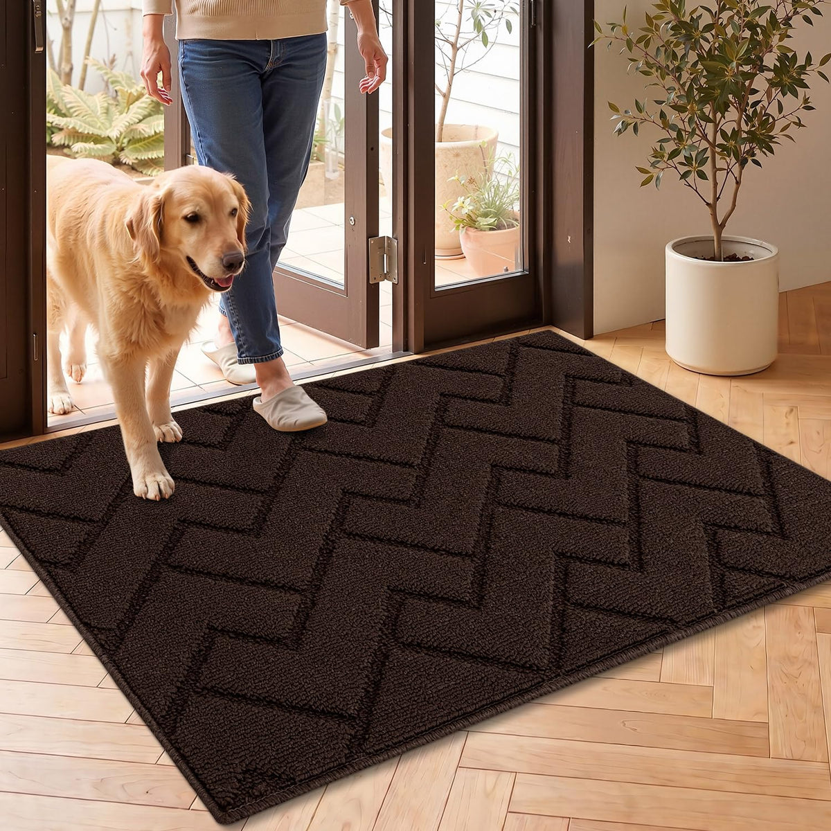Front Door Mat Outside Entrance