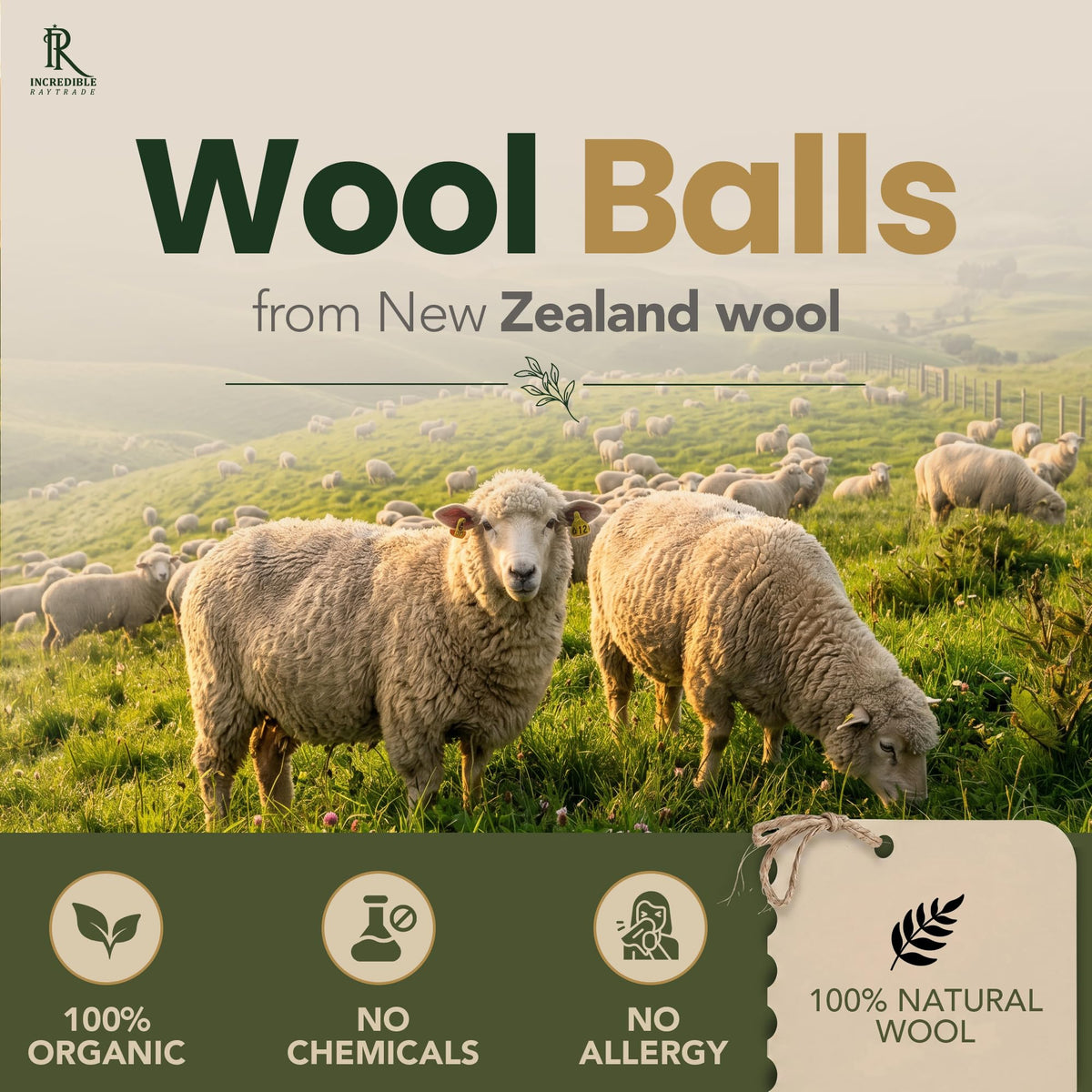 RAYTRADE Wool Dryer Balls 6 (6 Count)