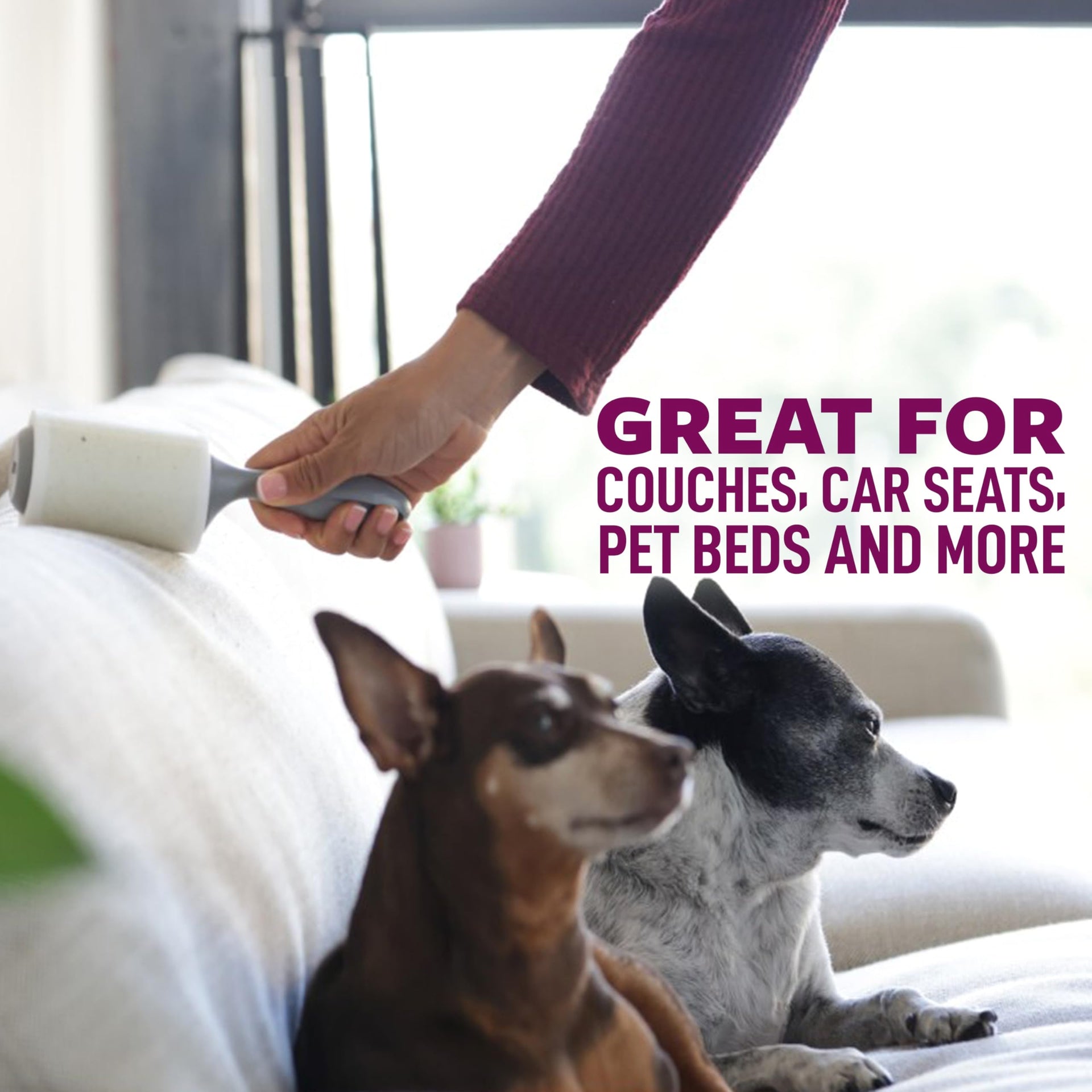 Pet Extra Sticky Hair Lint Roller (6 Count)