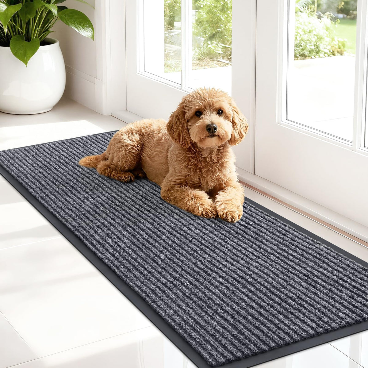 Front Door Mat 47x17