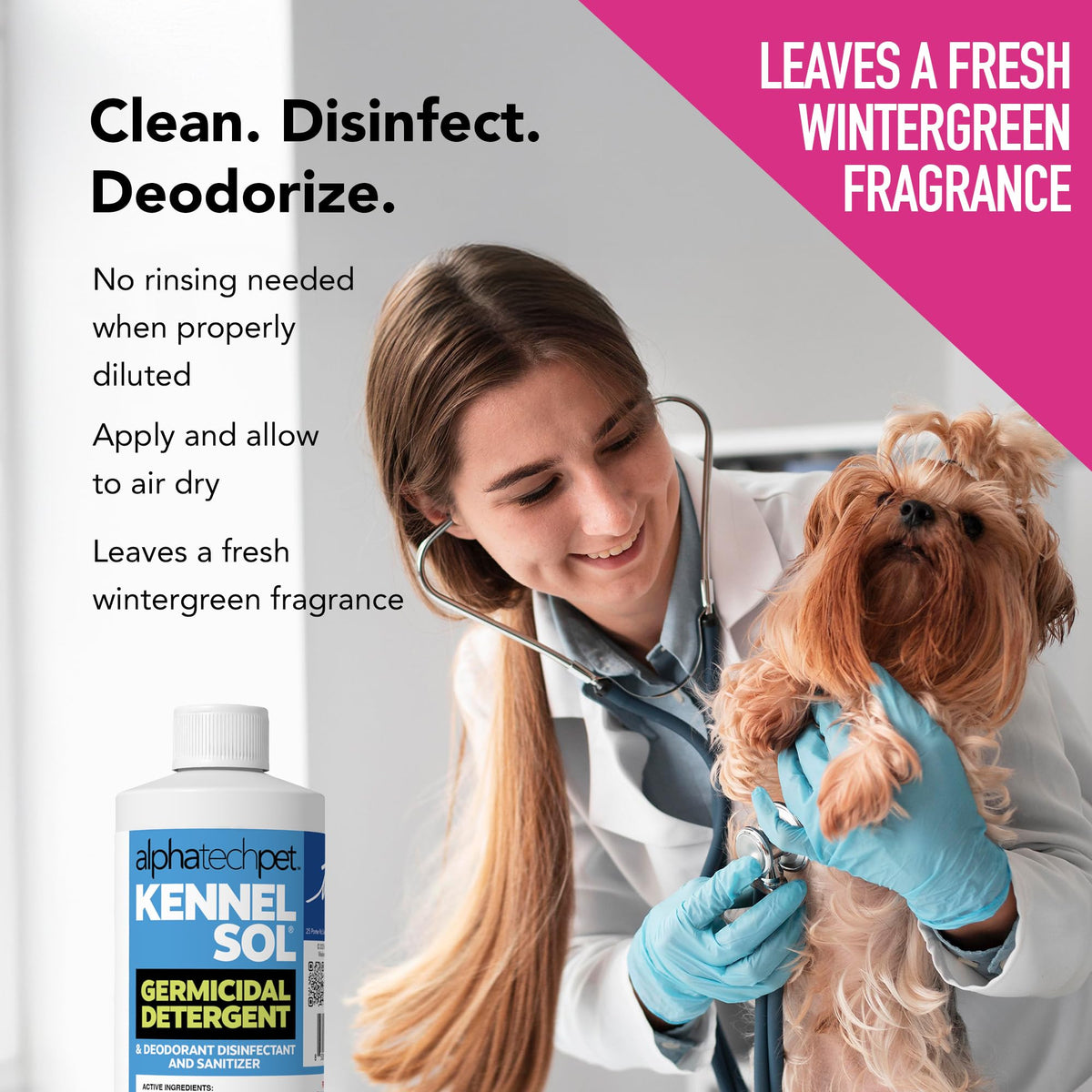 KennelSol Disinfectant & Cleaner for Kennels (16 Fl Oz) - ModHome Supplies