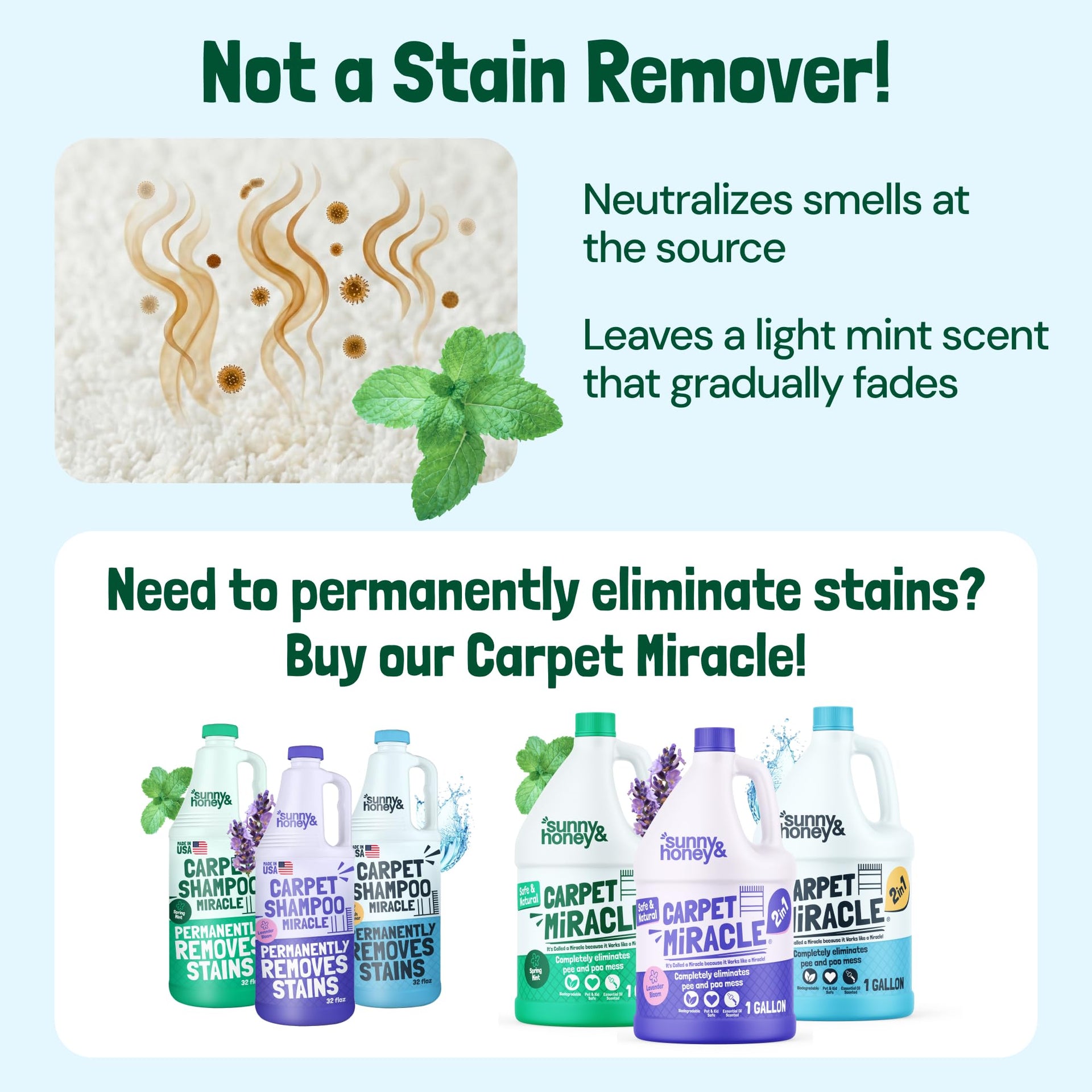 Carpet Deodorizer Powder (20 Ounce)