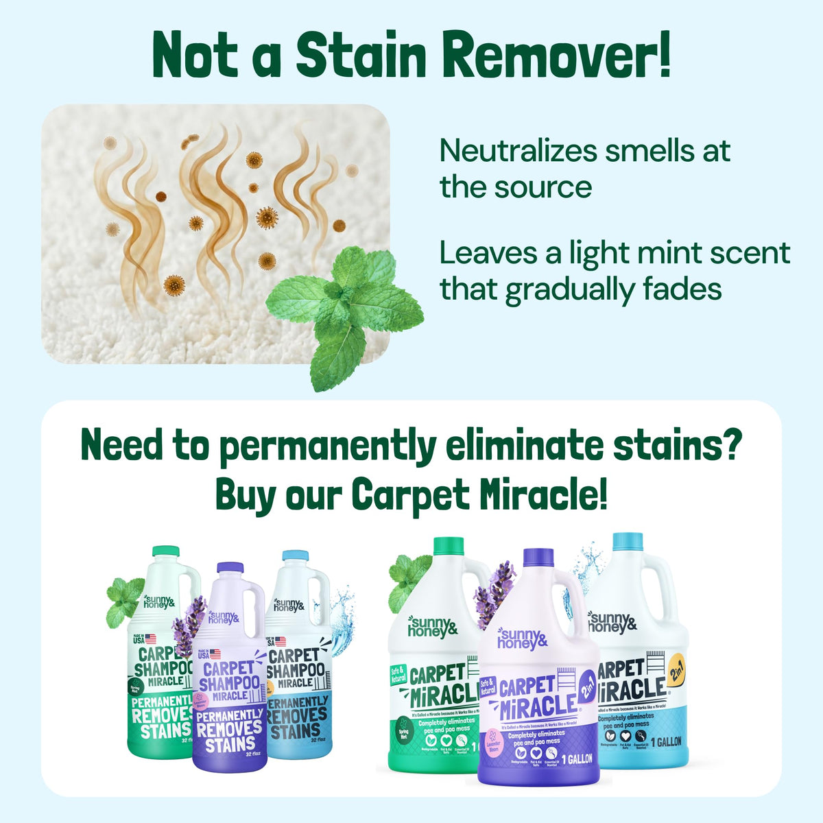 Carpet Deodorizer Powder (20 Ounce)