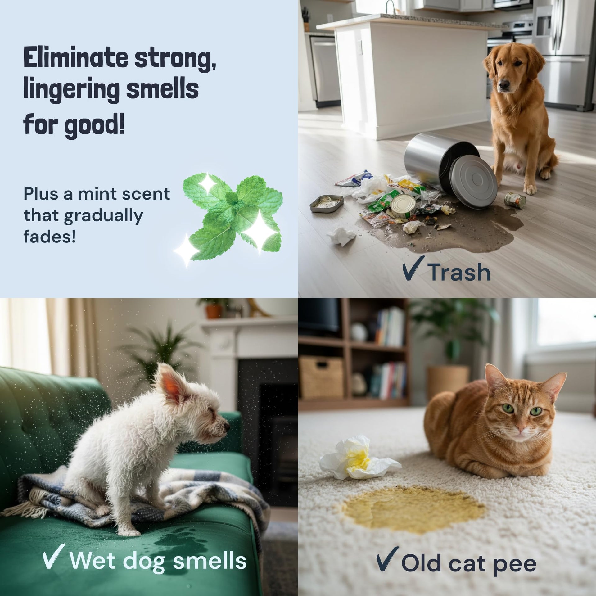 Pet Stain and Odor Remover Spray for Carpets (32 Fl Oz)