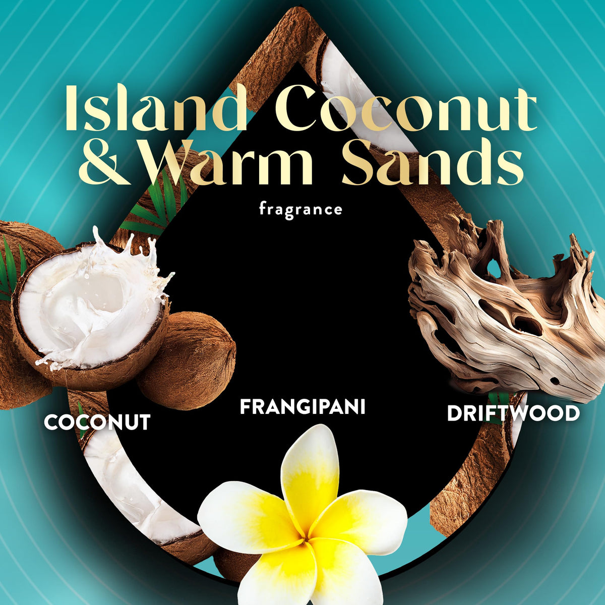 Scented Oil Vibrant Refill Island Coconut & Warm Sands 5 ct. (3.38 Fl Oz)