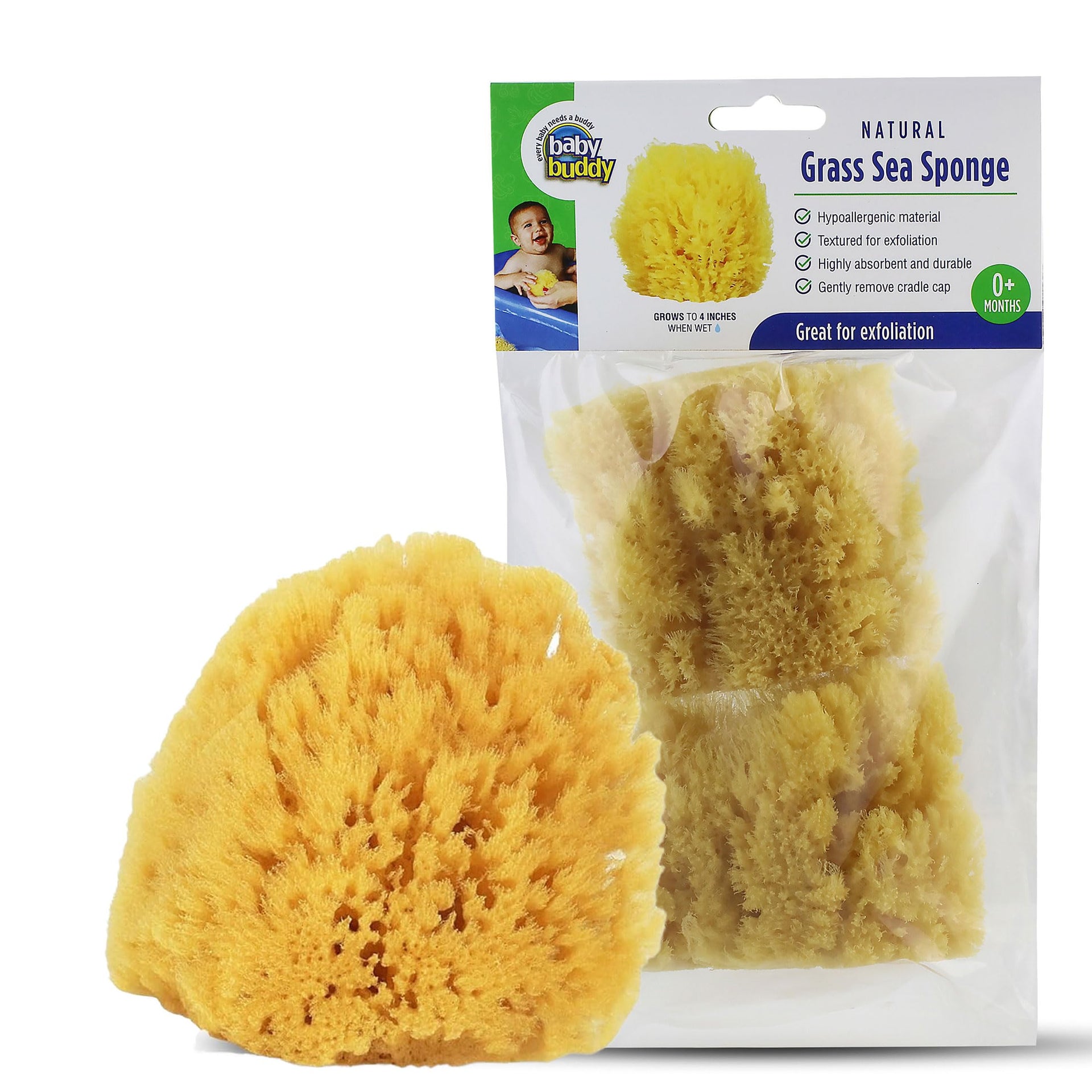 Natural Baby Bath Sponge 4in Soft Grass Sea Sponge (2 Count)