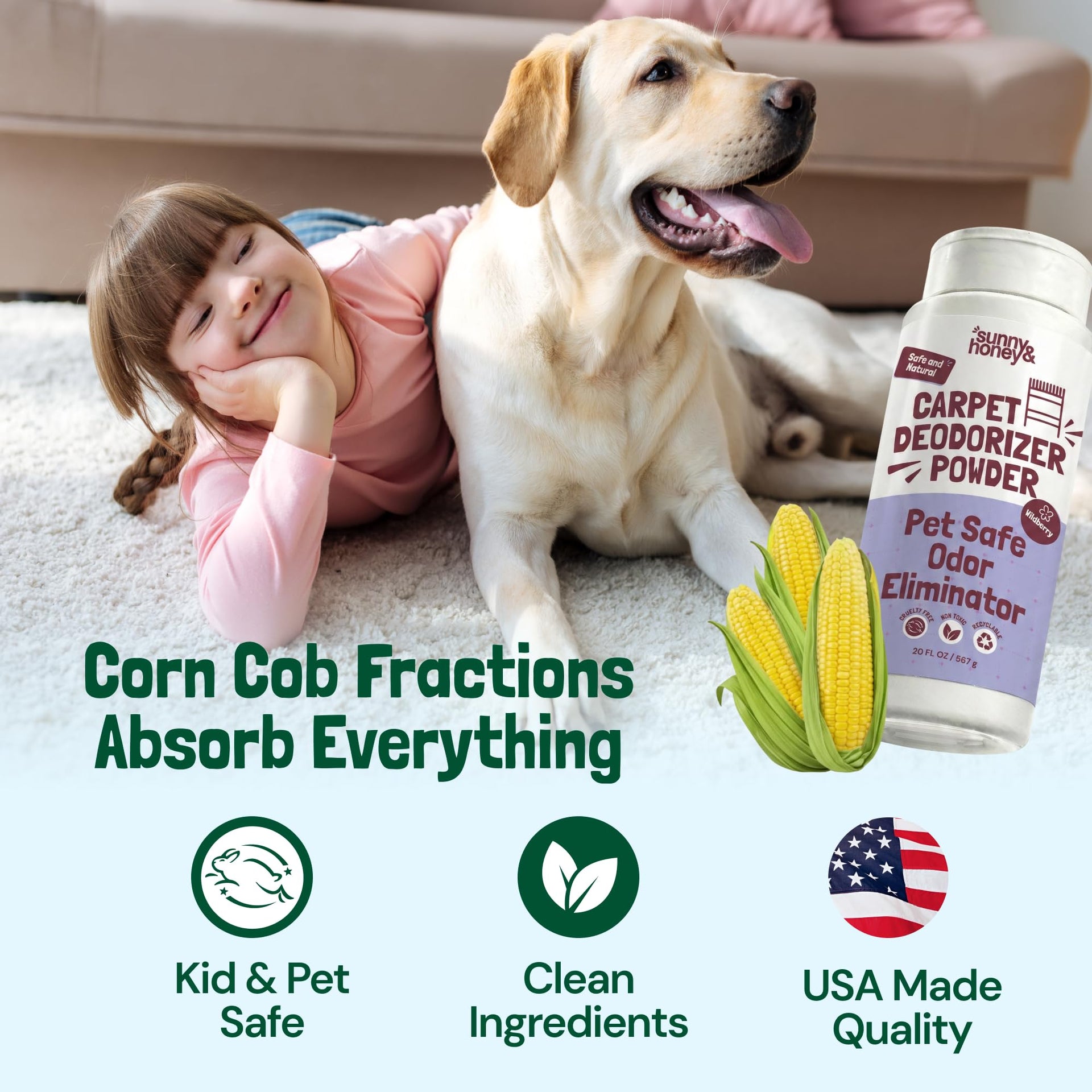 Carpet Deodorizer Powder (20 Ounce)