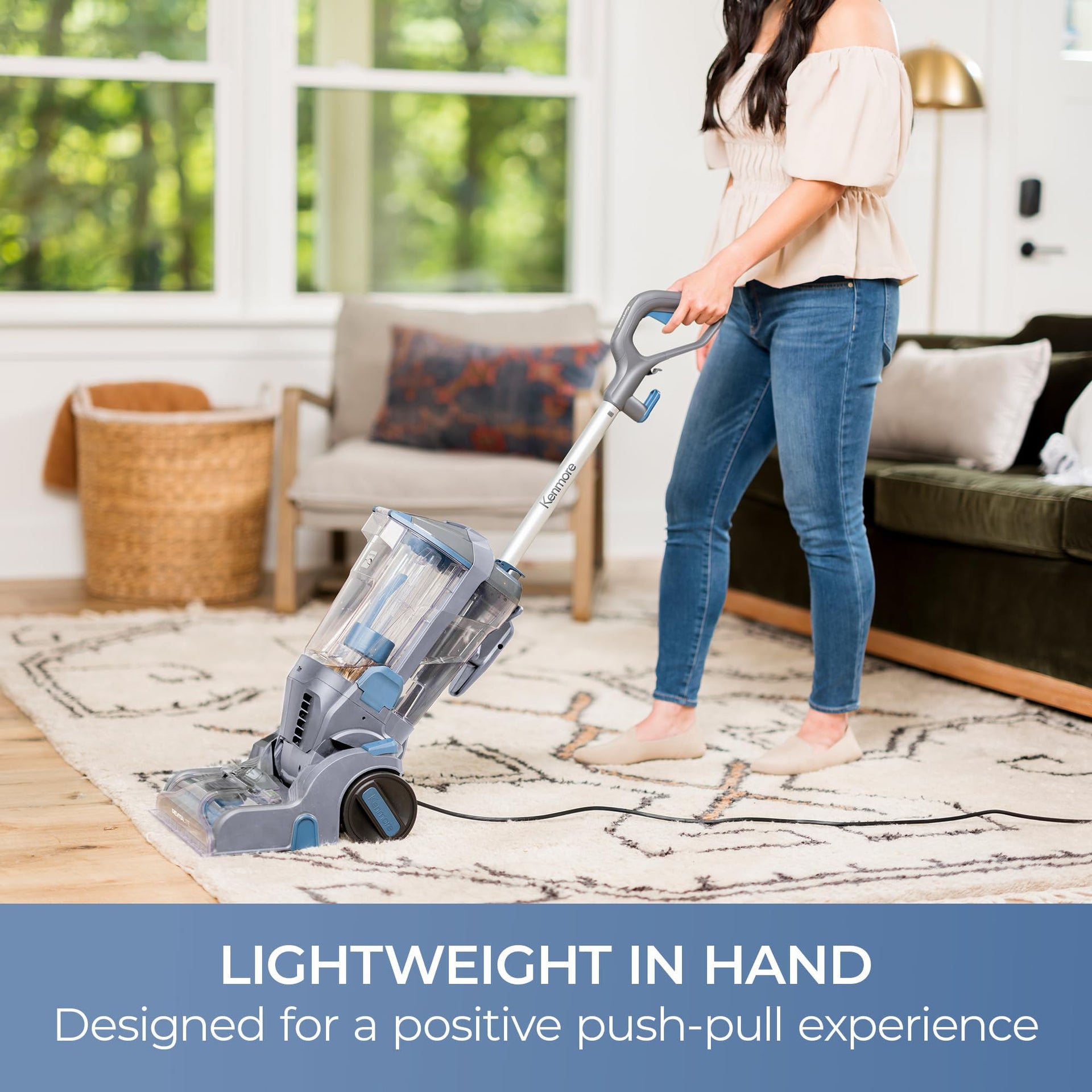 Pet Portable Carpet Cleaner Machine with High Cleaning Power