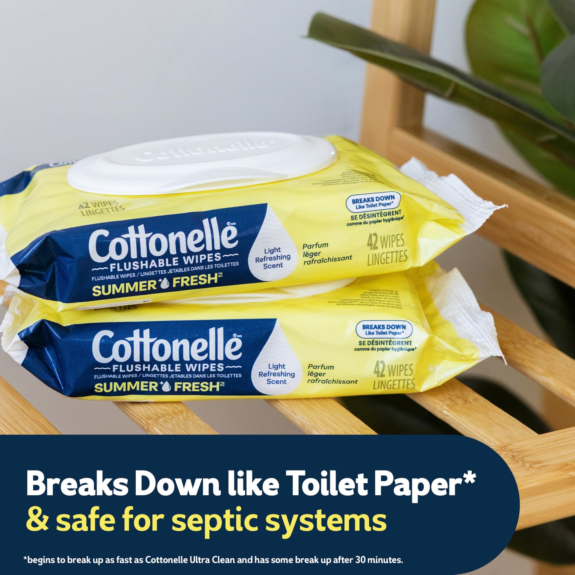 Summer Fresh Scented Flushable Wipes (84 Count)