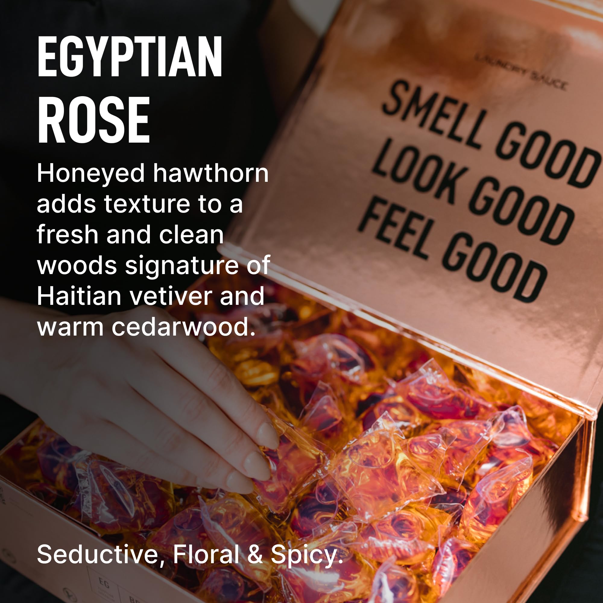 Egyptian Rose Bundle (4 Count)