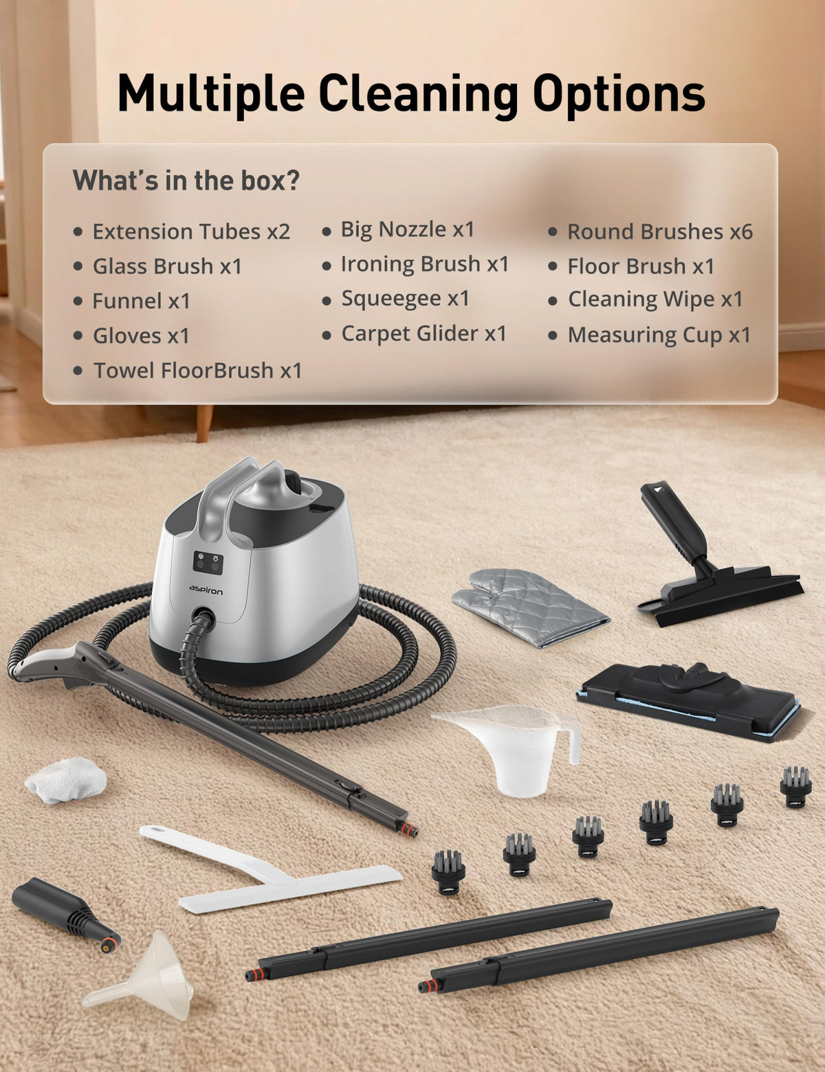 Steam Cleaner